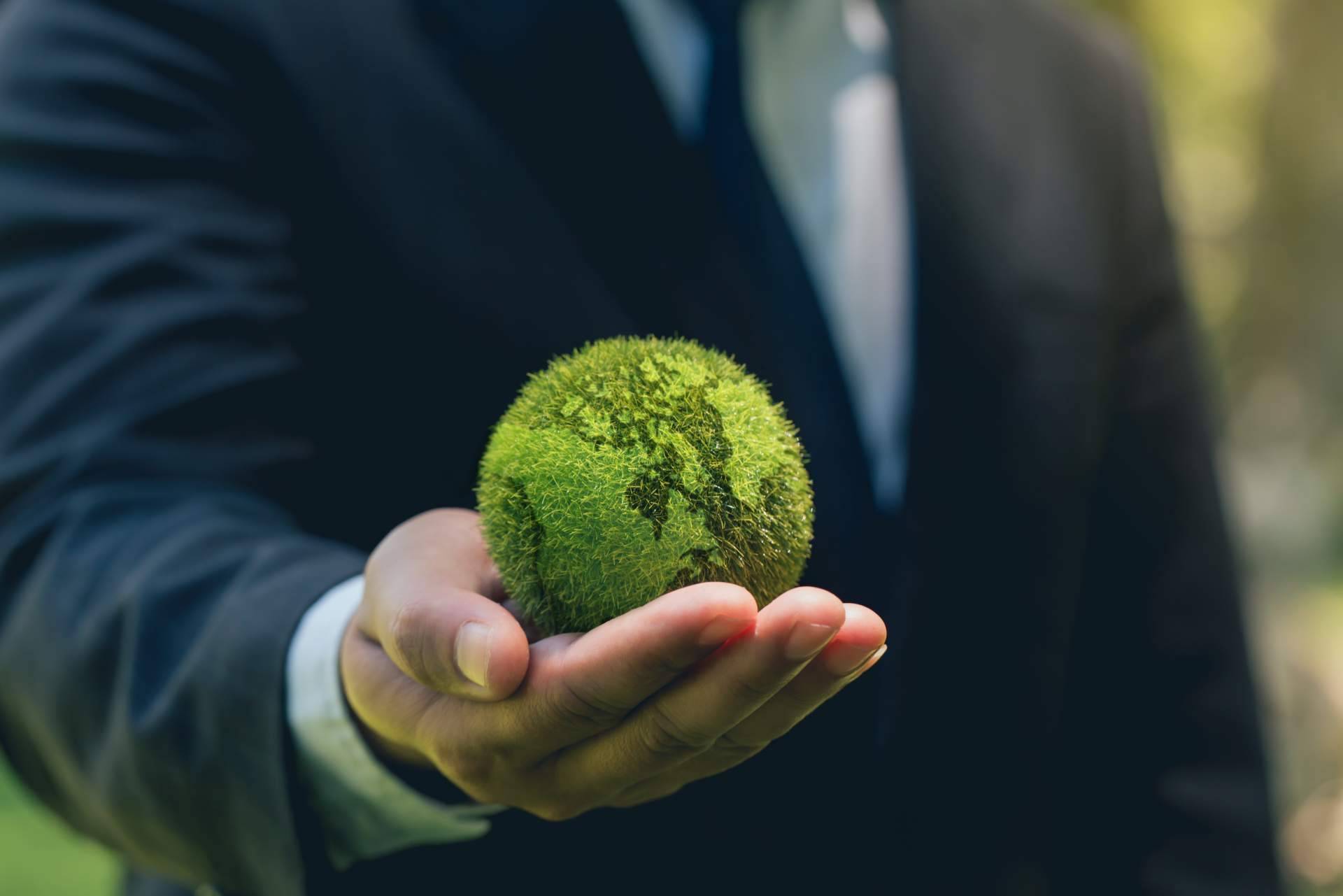 ¿Qué ofrece ClimaTrade a las empresas para que puedan lograr la neutralidad de carbono?