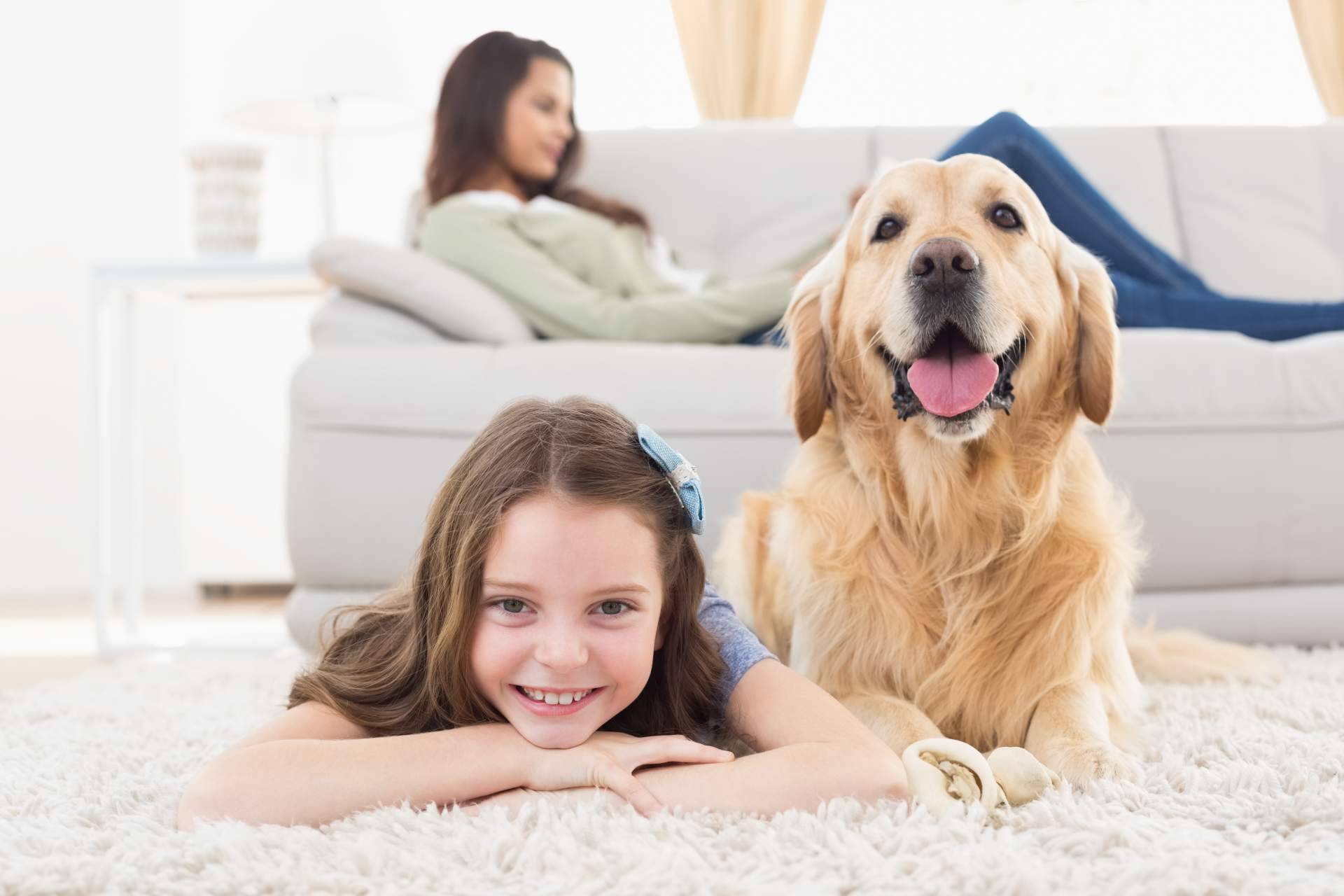 La sonoterapia en animales de compañía y sus beneficios, por El Perro Feliz