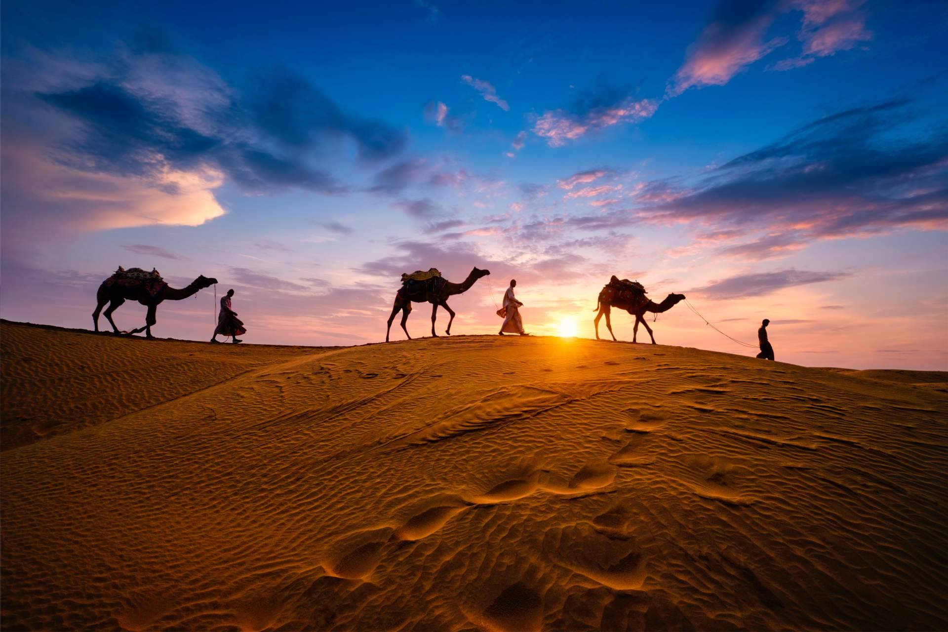 Excursiones en camello a las dunas de Erg Chebbi, con Camel Trekking Tours