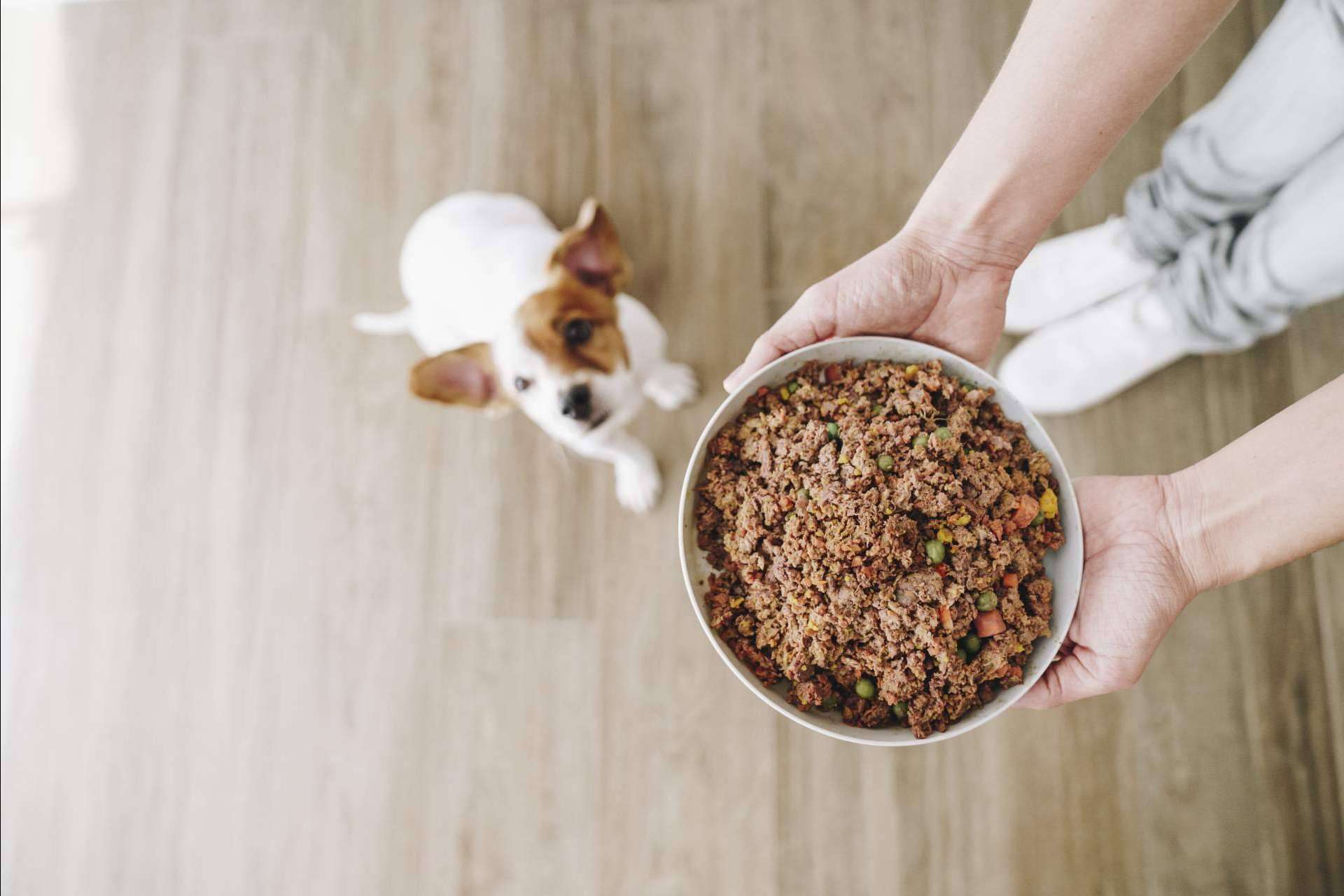 Dogfy Diet brinda una opción de alimentación natural para perros