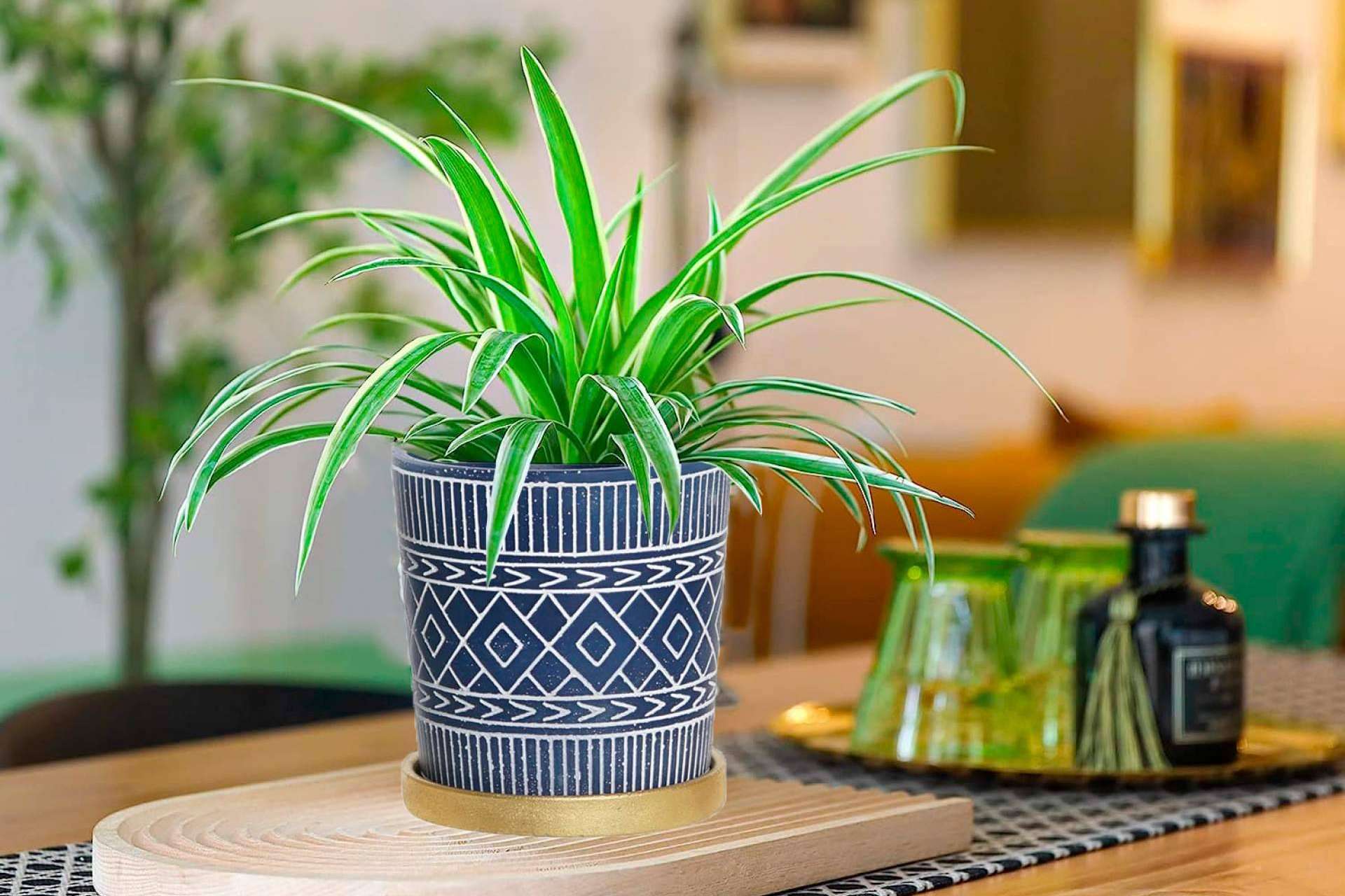 Invertir en decoración primaveral con las ofertas de Hogar y Más