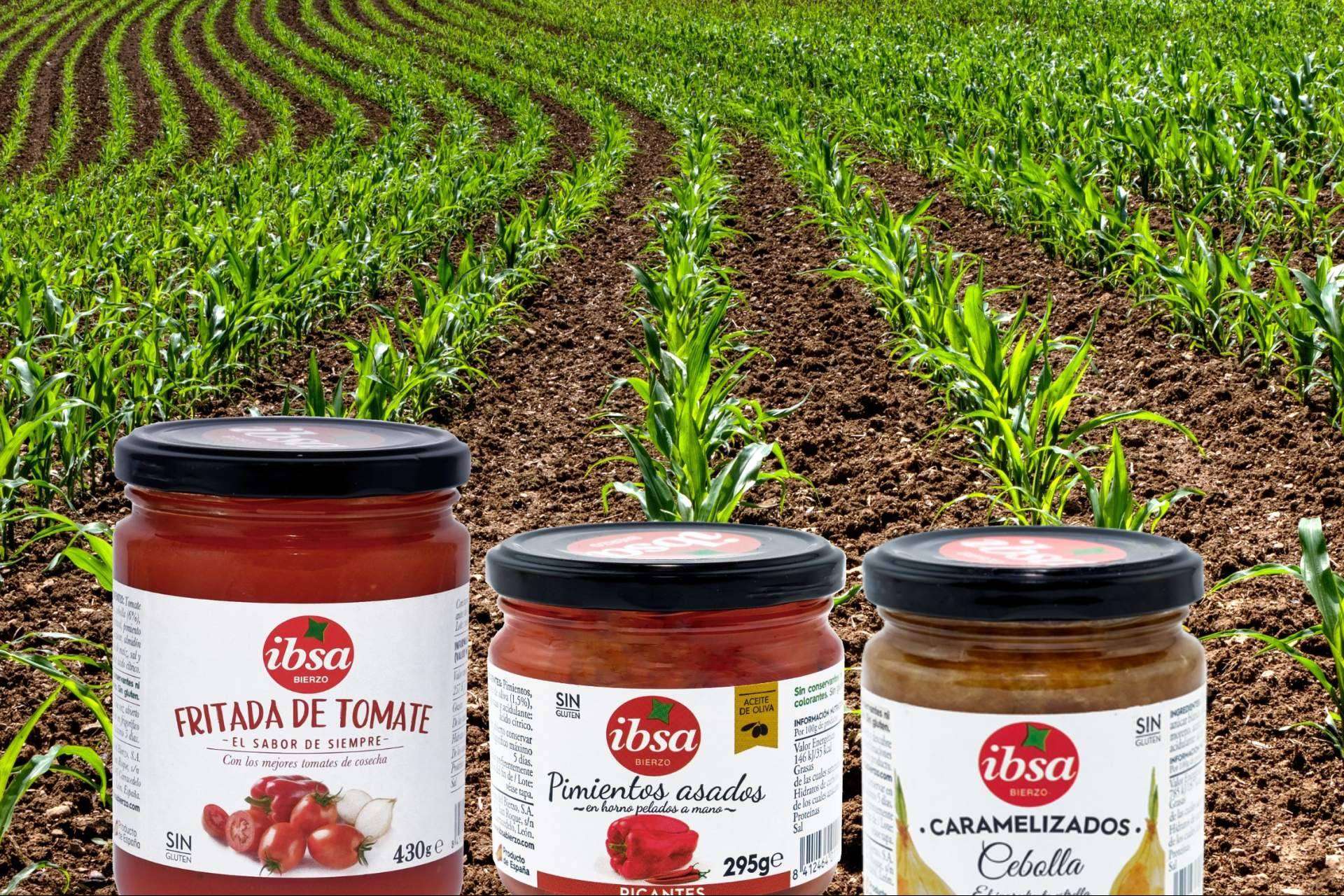 Las conservas vegetales claves para una alimentación saludable, con IBSA