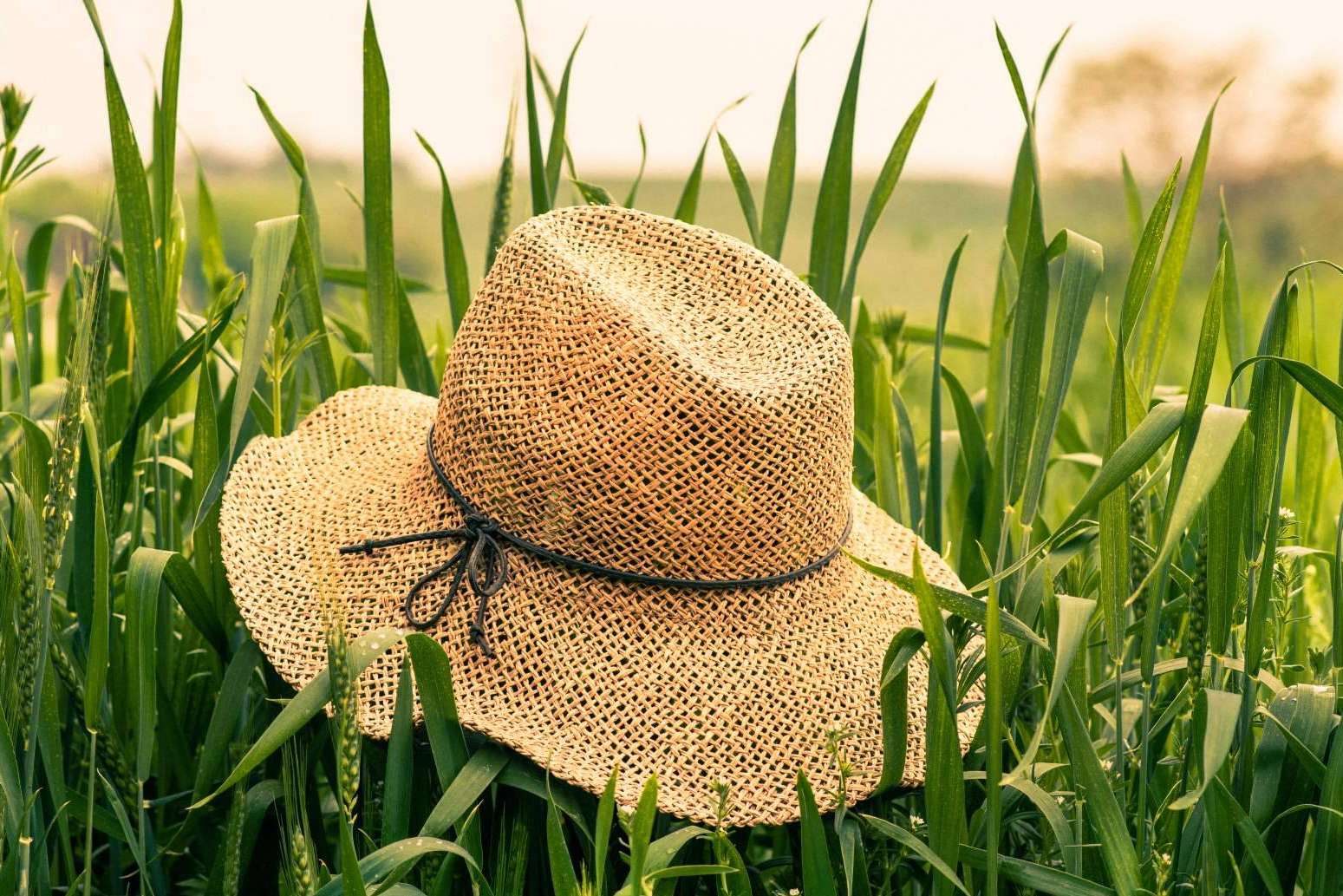 Ecofami es mucho más que una firma experta en la venta de envases y bolsas biodegradables