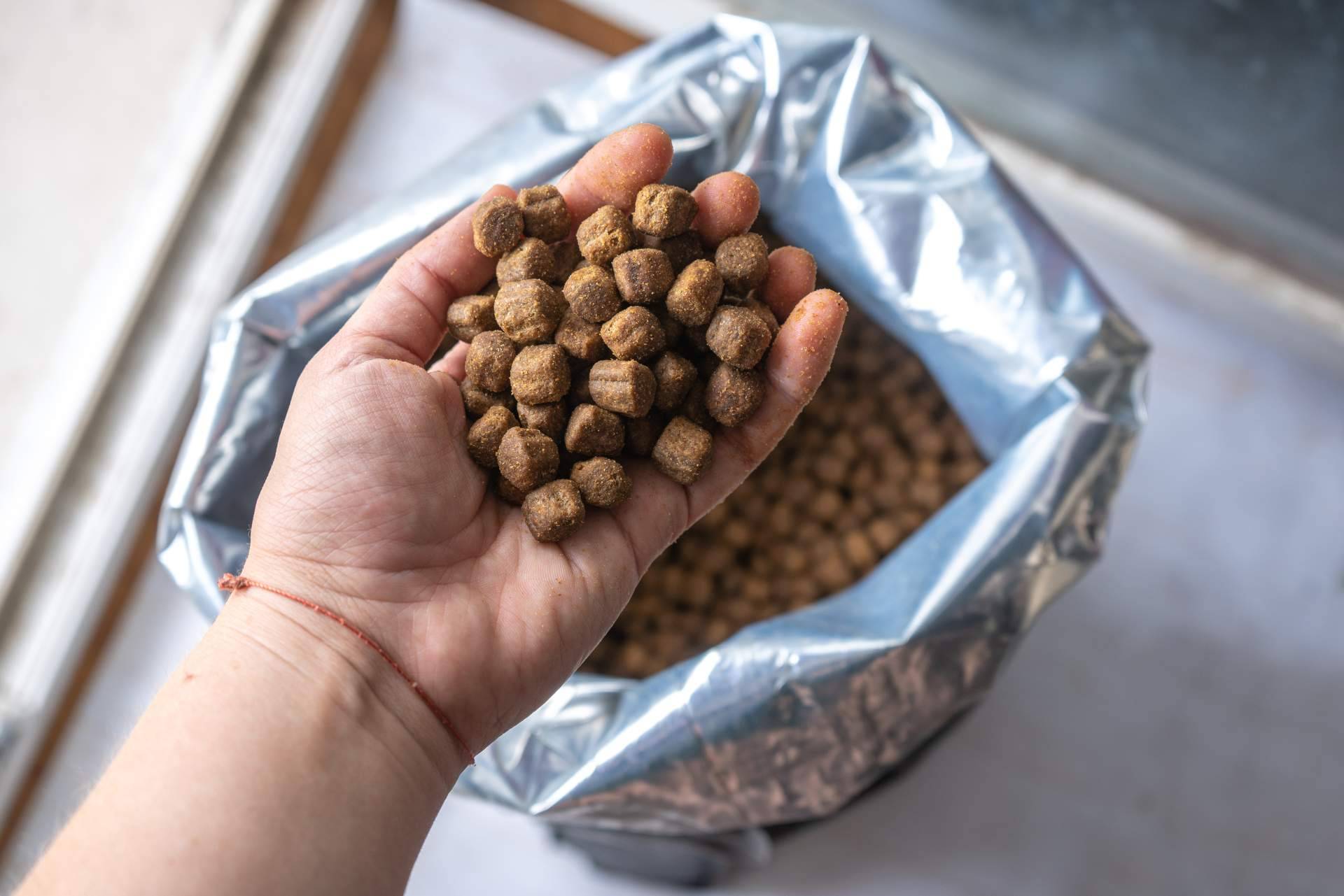¿Cómo encontrar el alimento ideal para una mascota?, con la ayuda de Kaman Pet y su sistema de calidad nutricional Kaman Points