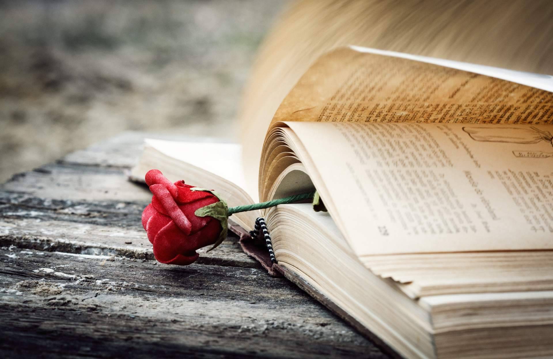 La tradición catalana de las rosas y los libros en Sant Jordi