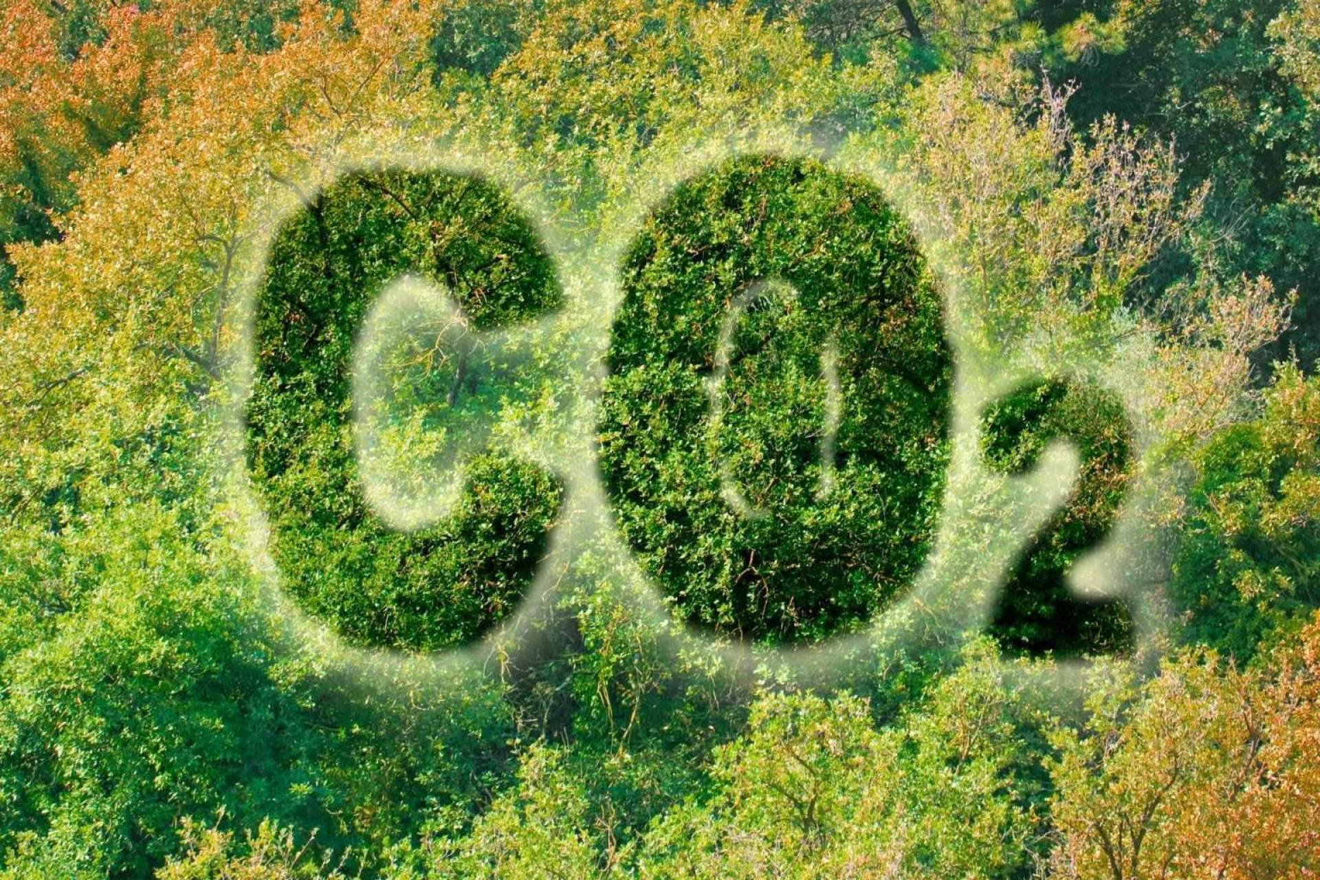 El Grupo Enfrío se une a la sostenibilidad empresarial