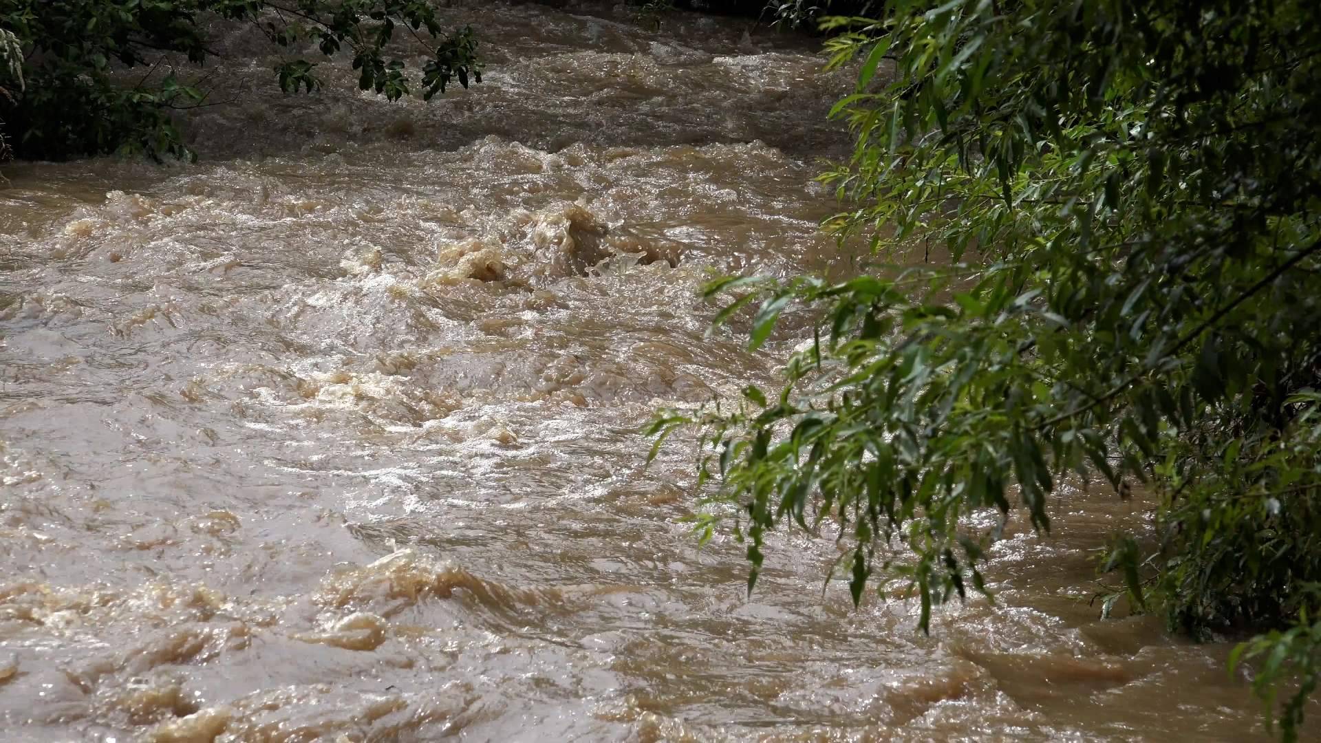 ¿Qué es El Niño y por qué los expertos están hablando de él?, por Noticias Ambientales