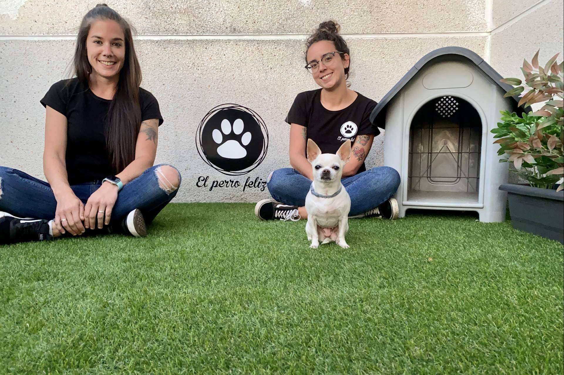 ¿Cuál es valor diferencial de los servicios de El Perro Feliz Madrid Centro?