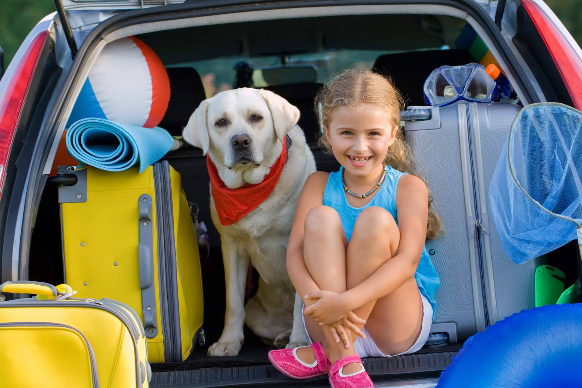 ¿Cómo planificar las vacaciones cuando hay animales de compañía en la familia?