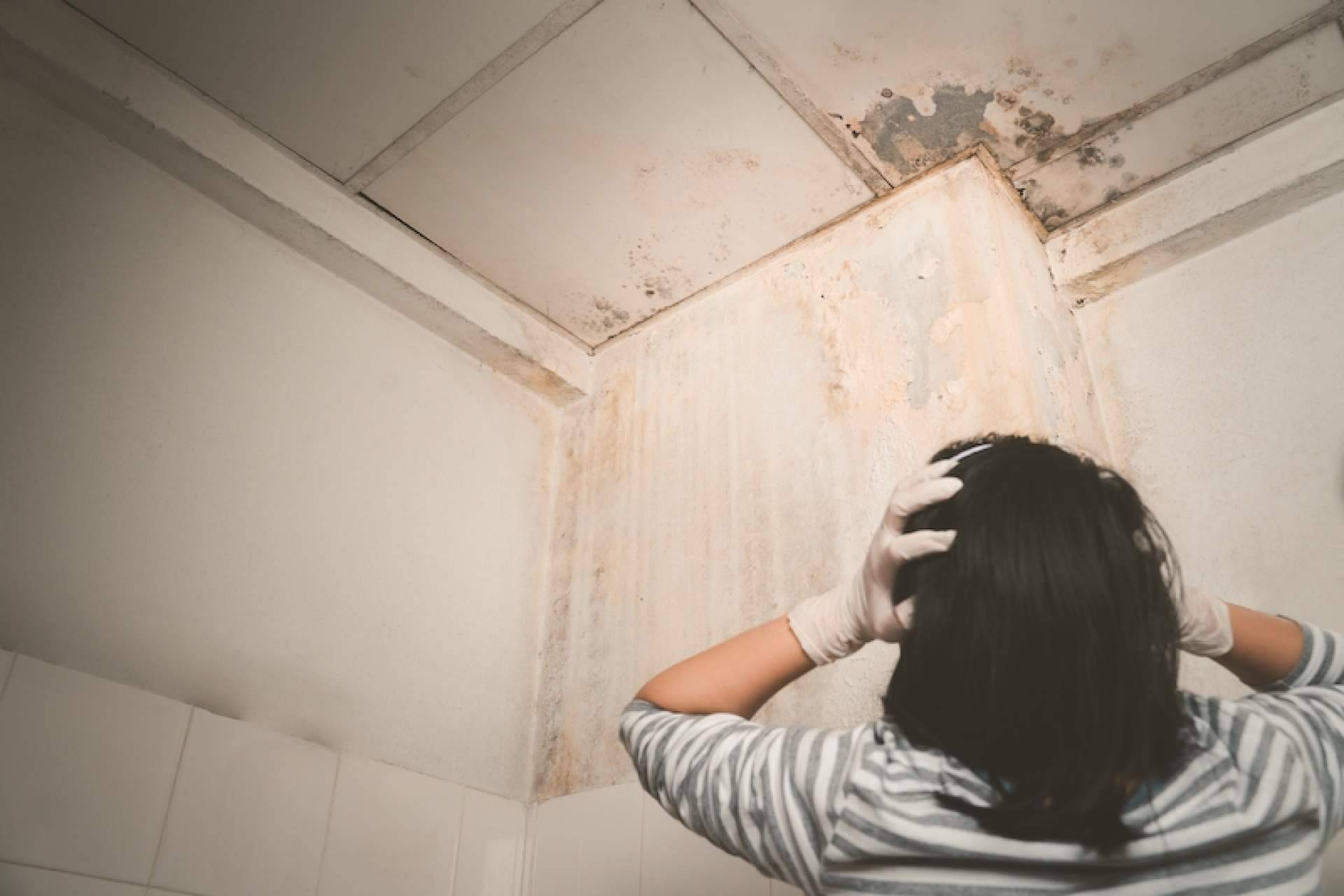 Preactiva, el servicio con amplia experiencia para quitar humedades por capilaridad