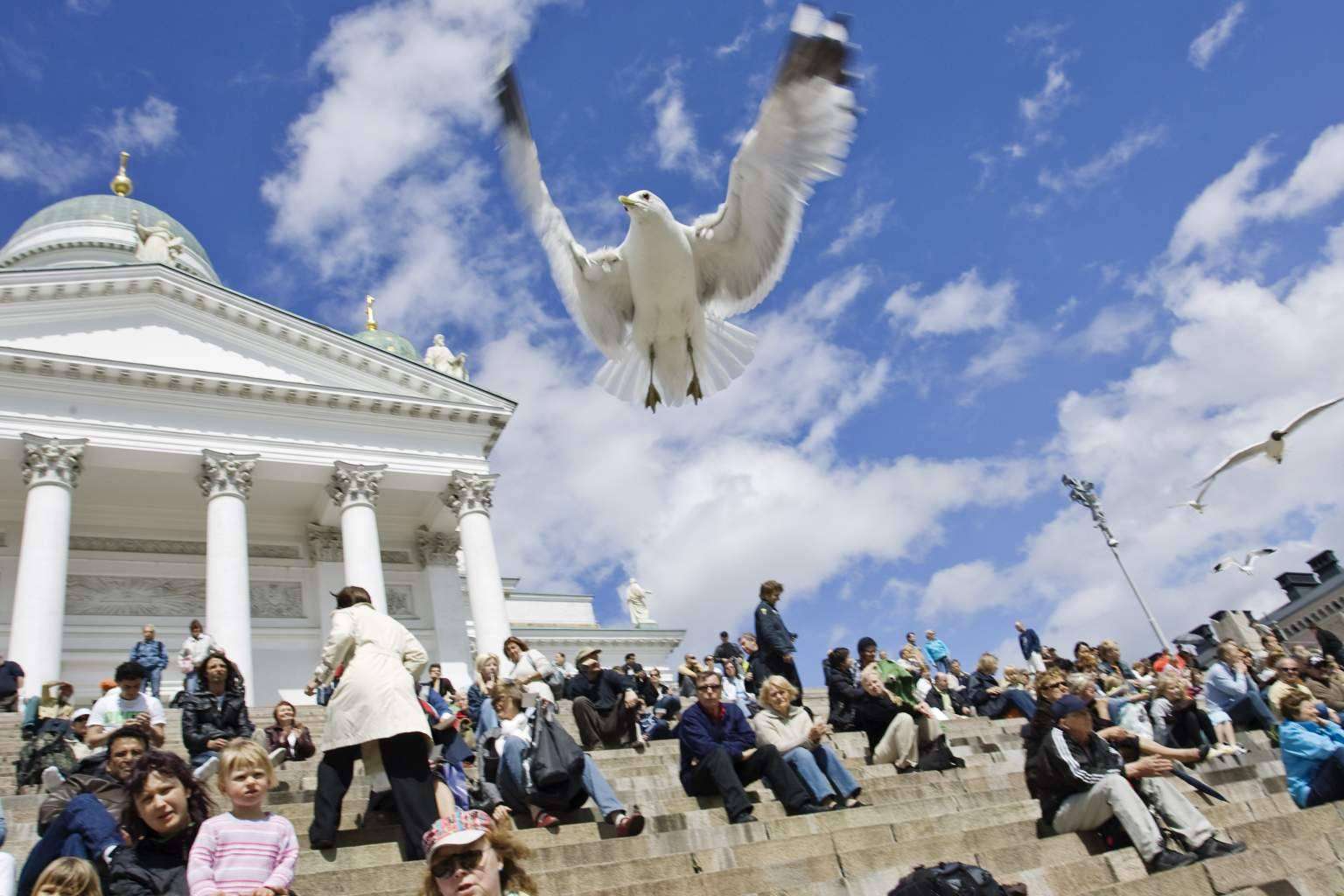 Viada Tours ofrece la experiencia de un City Tour Helsinki Verano 2023