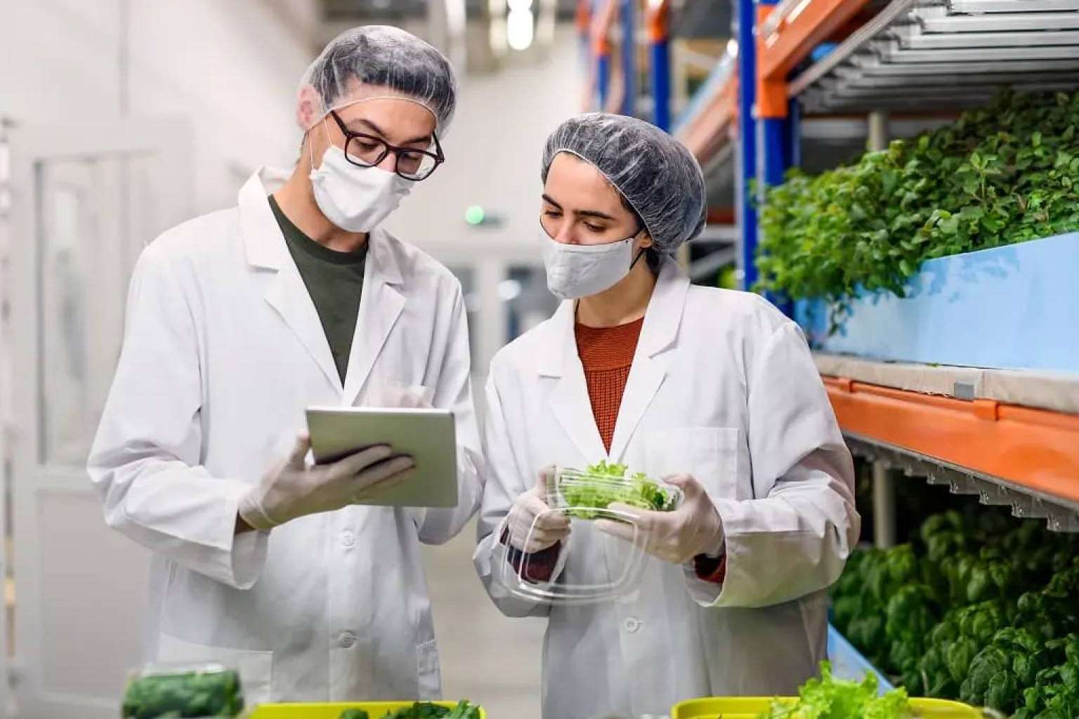 El Comité Experto y el plan de acción de SERUNION para la lucha contra el desperdicio alimentario