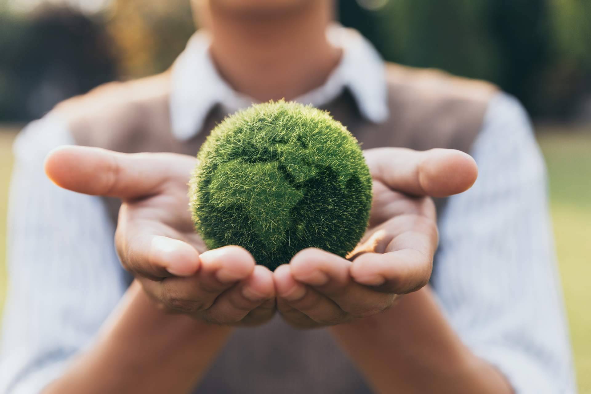 ¿Por qué la educación ambiental es la clave para enfrentar el cambio climático y promover la sostenibilidad?