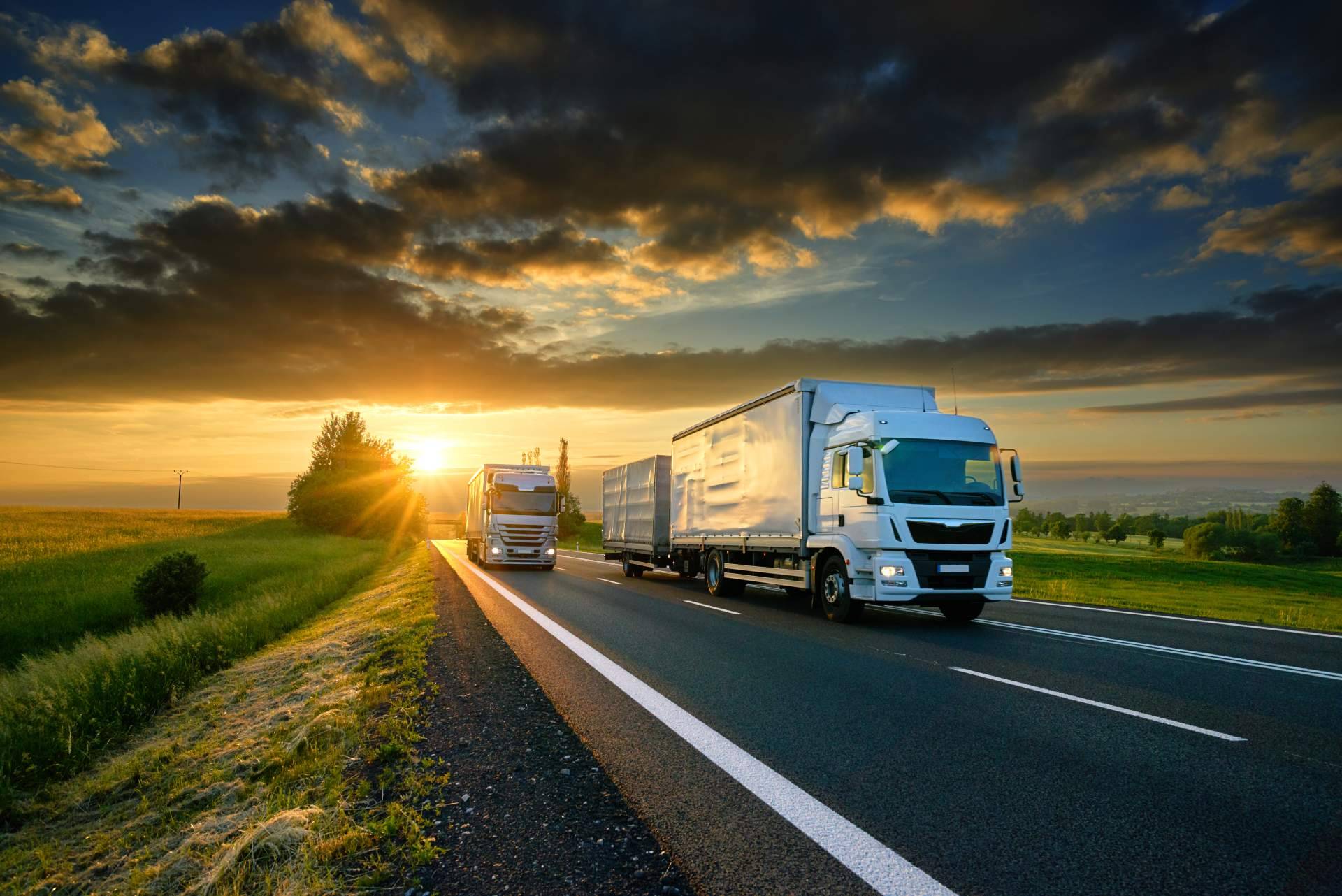 ¿Dónde encontrar una opción segura y de confianza de transporte? La cooperativa de transporte Transportes Bara