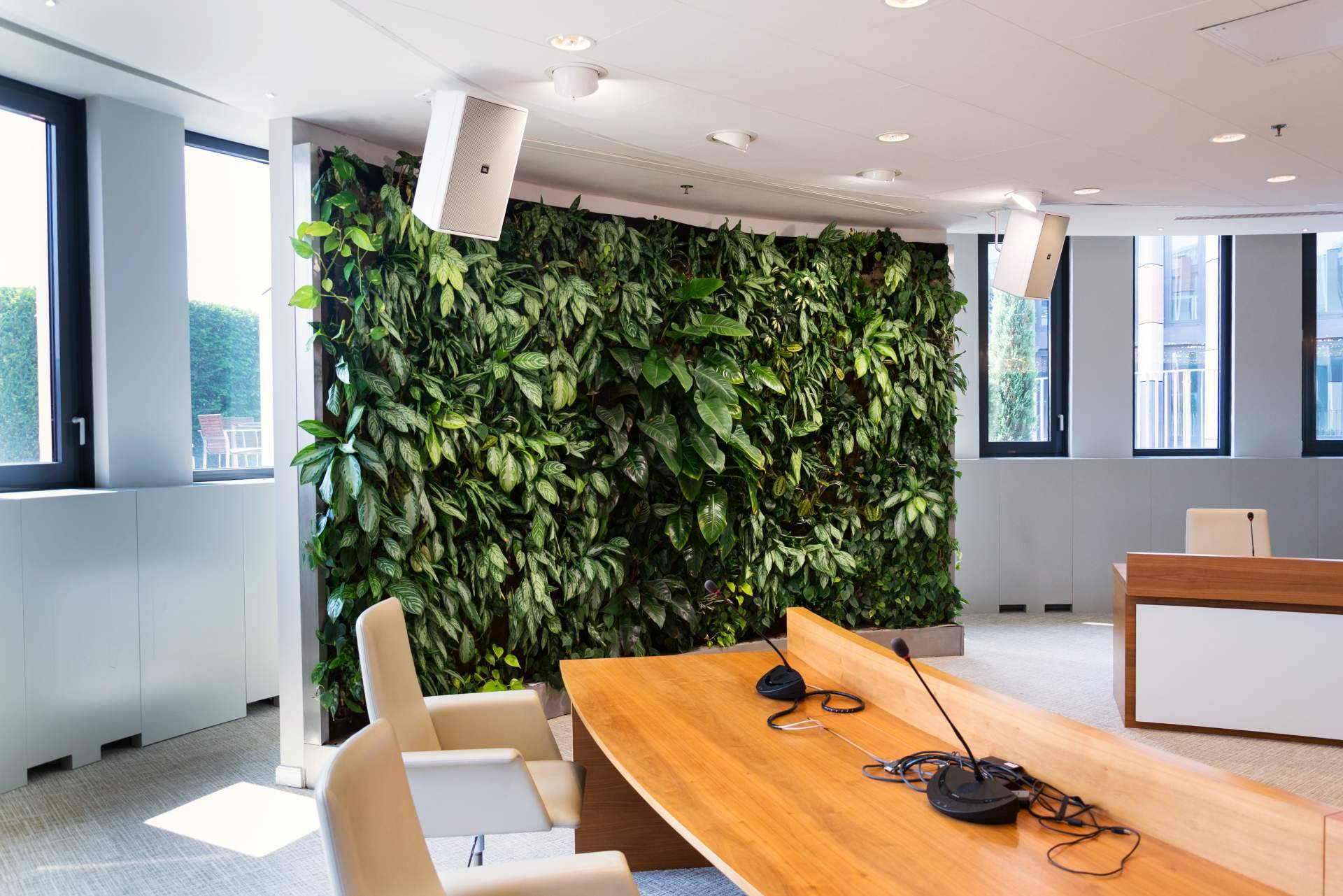 JardinVertical.es y los beneficios de sus plantas de pared colgantes