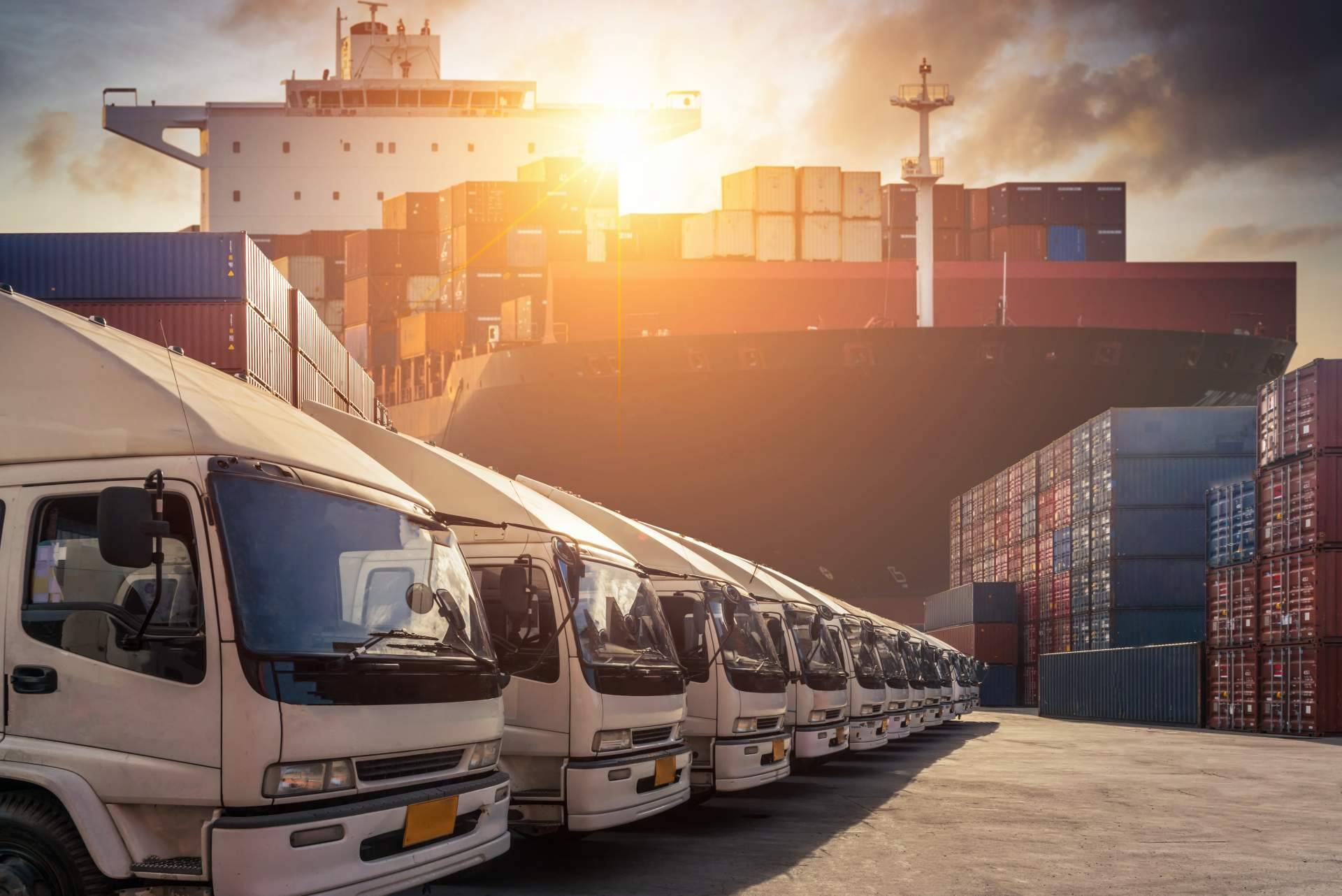 Terra Logistika ofrece un servicio de transporte adecuado, tanto nacional como internacional