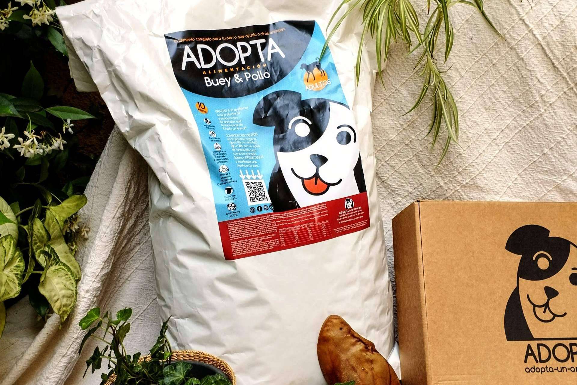 Ayudar a protectoras de animales con cada compra de uno de los mejores pienso de mantenimiento para perros adultos de buey y pollo