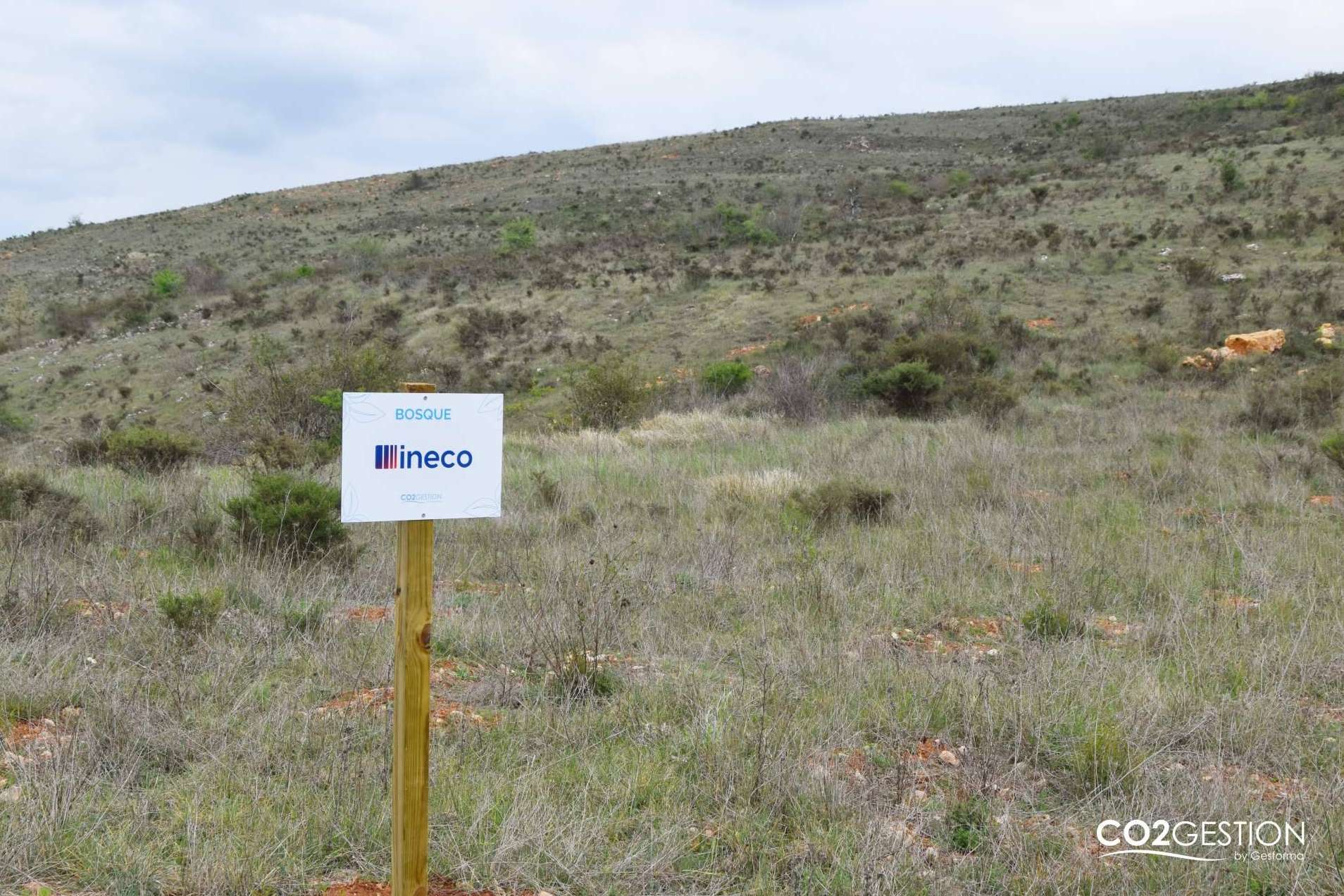La empresa INECO compensa más de 200 toneladas de CO₂ gracias a una plantación forestal en Burgos