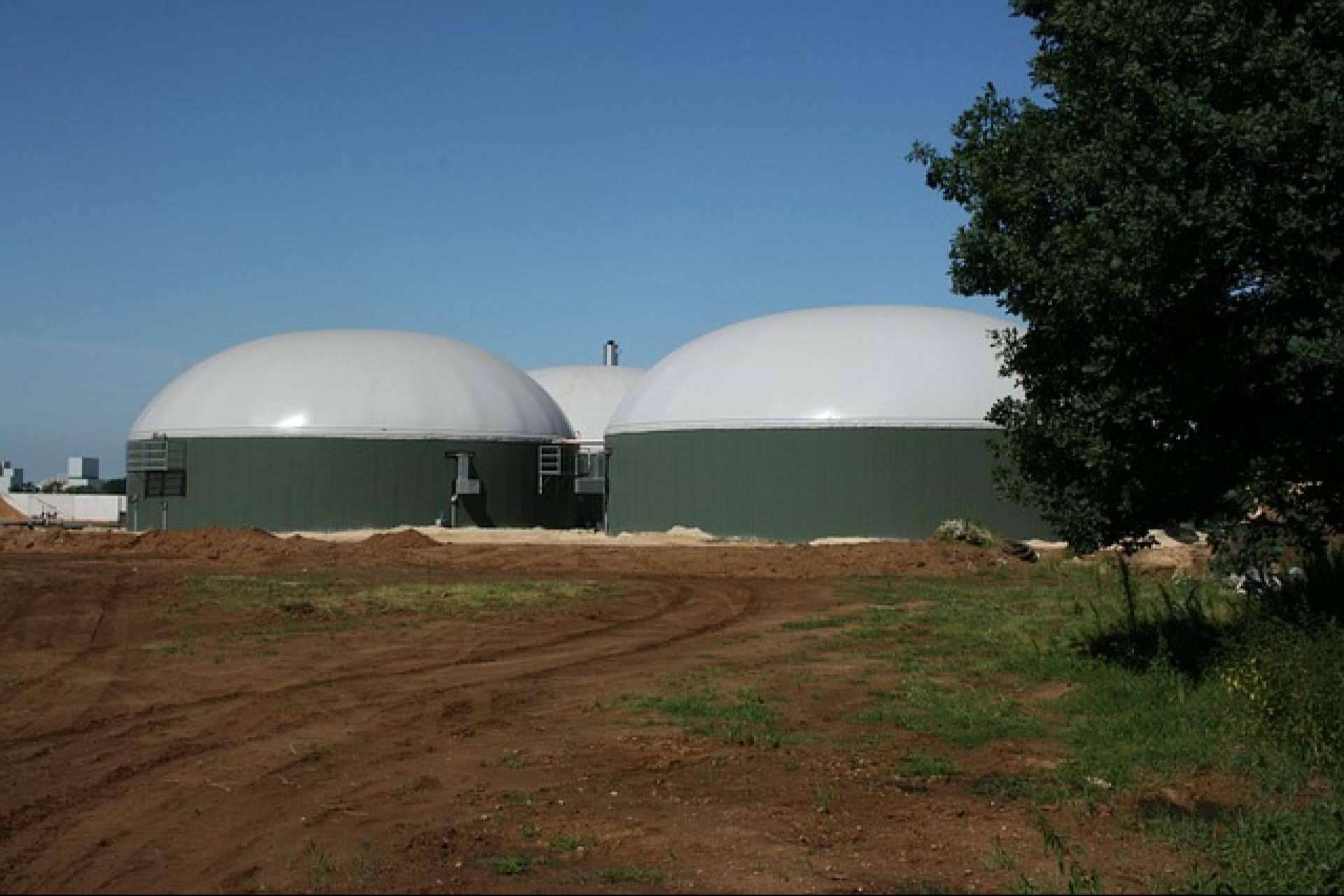 Calpech explora el creciente interés en los biodigestores y sus beneficios