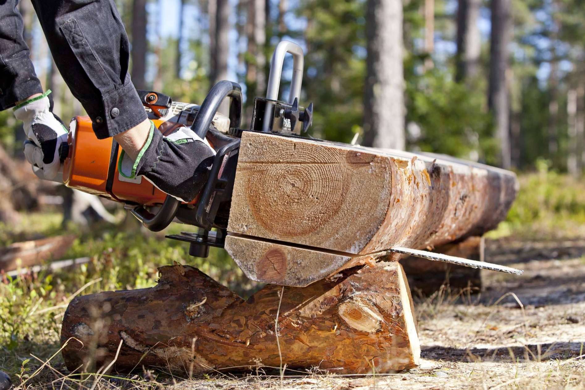 ¿Dónde encontrar aserraderos portátiles para motosierra? Timber Tools