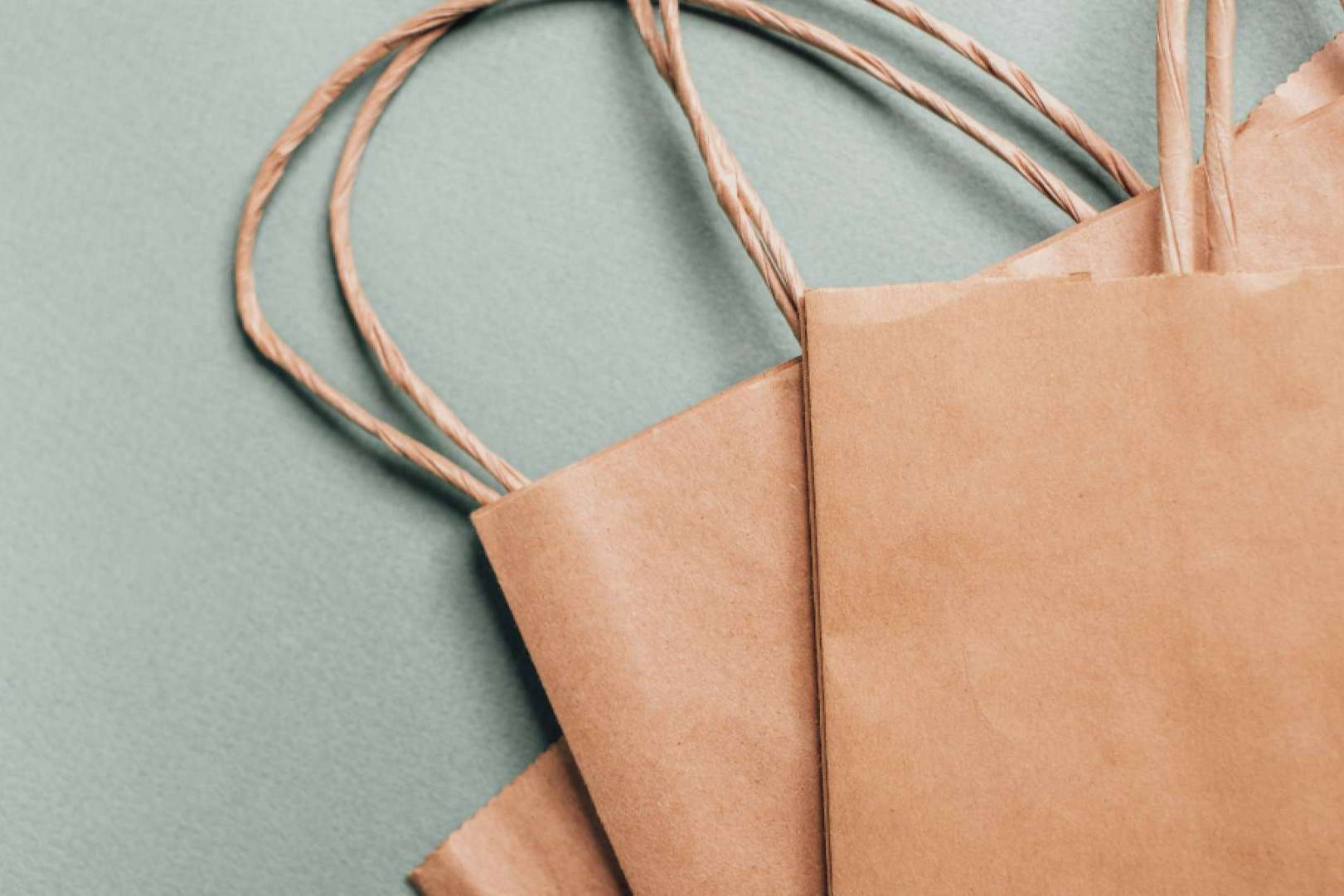 Ecobolsa, la fábrica de bolsas de papel que brinda a los negocios una alternativa publicitaria y ecoamigable