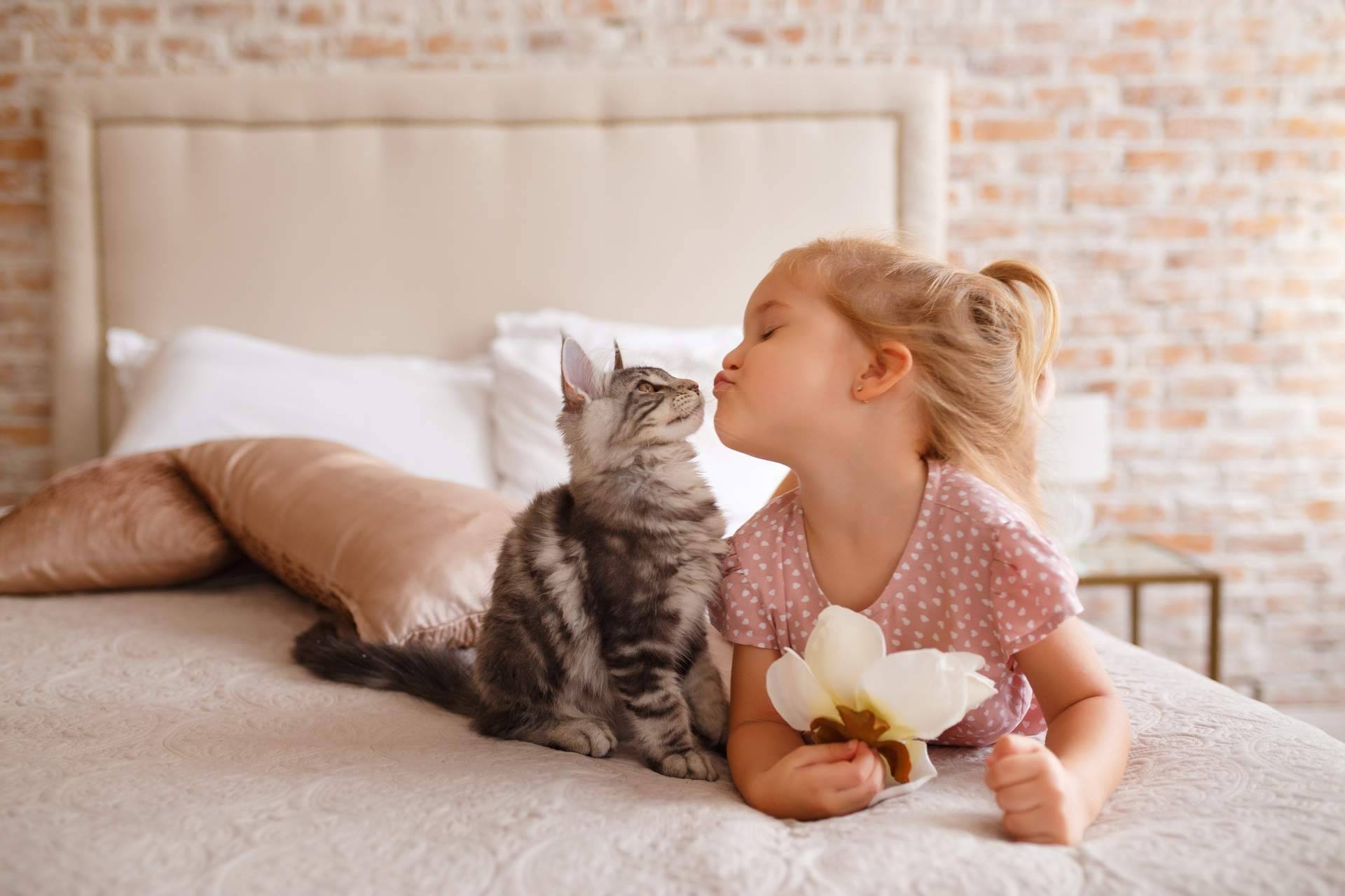 Compartir vídeos de mascotas a través de la novedosa aplicación ClickGuau