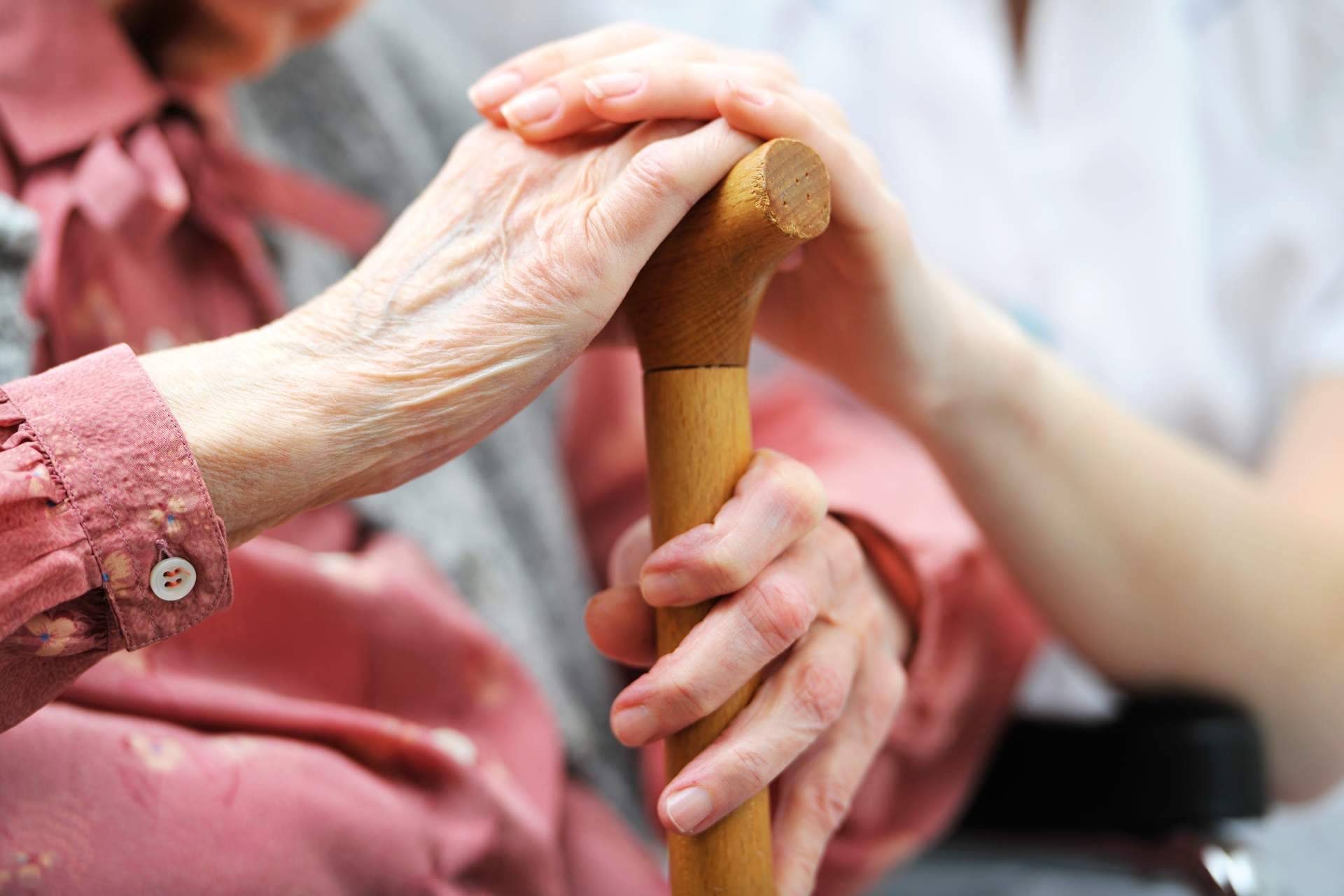 Family Servit ofrece atención especializada y calidad de vida en el cuidado de personas mayores