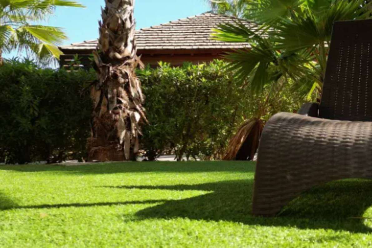 Decoración de jardines exteriores, de la mano de Albergrass