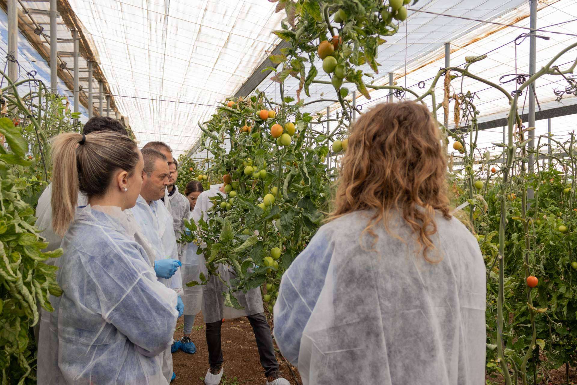 El incremento en las ventas nacionales e internacionales impulsa a CapGen Seeds a lograr un aumento del 18 % en la producción de sus variedades hortícolas