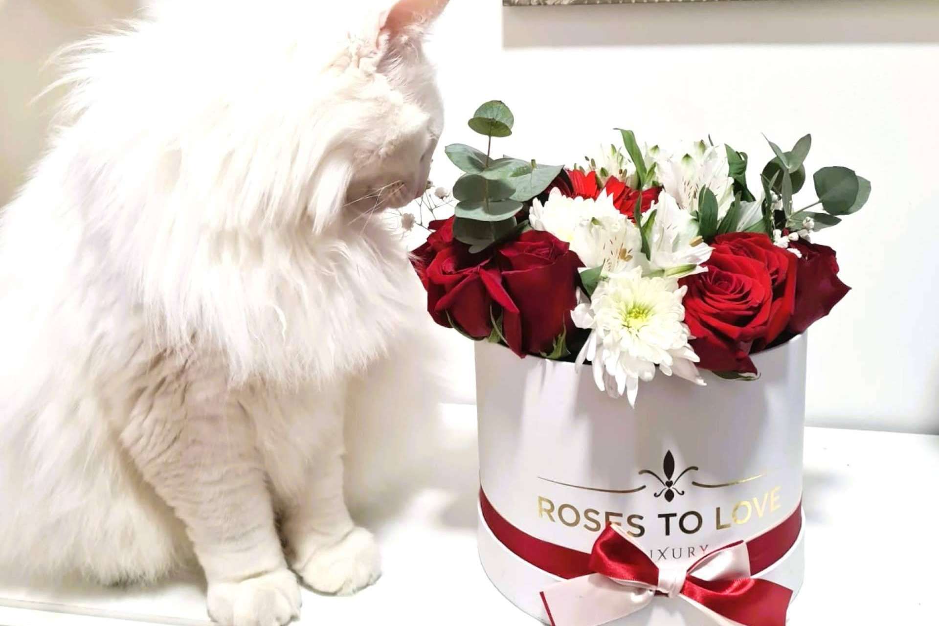 La tendencia de la boutique atelier para decorar espacios con flores, con Roses To Love