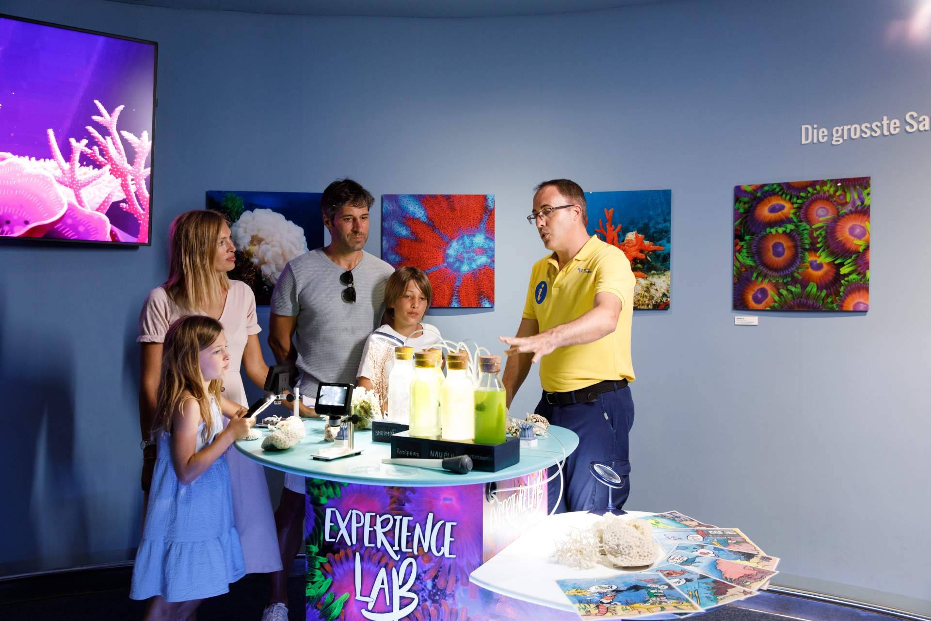 Disfrutar la experiencia Palma Aquarium, para pasar un día diferente en Mallorca