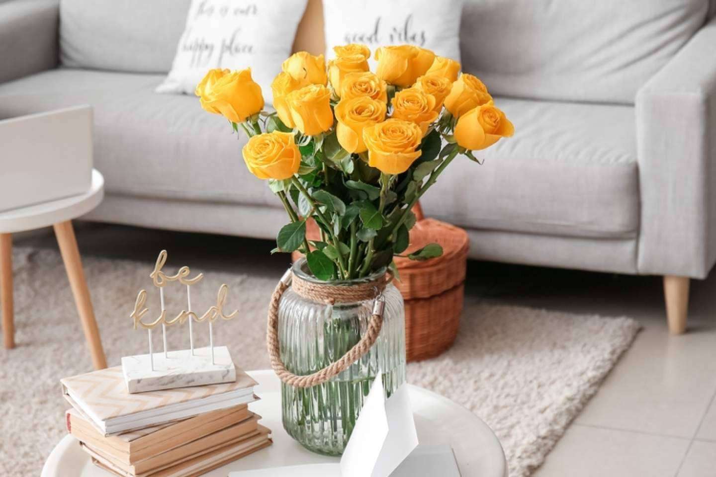 Los diferentes tipos de rosas y su significado, con Rosistirem