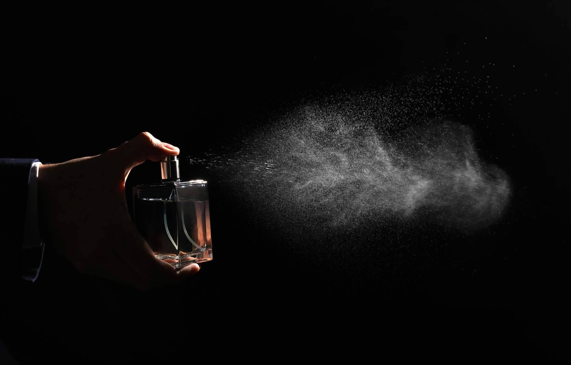 El variado catálogo de perfumes de la marca Creation Lamis en SamiPrimors