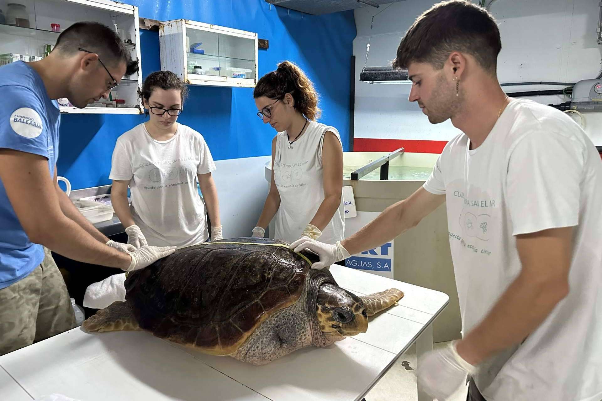 Palma Aquarium en Mallorca y su compromiso medioambiental y educativo