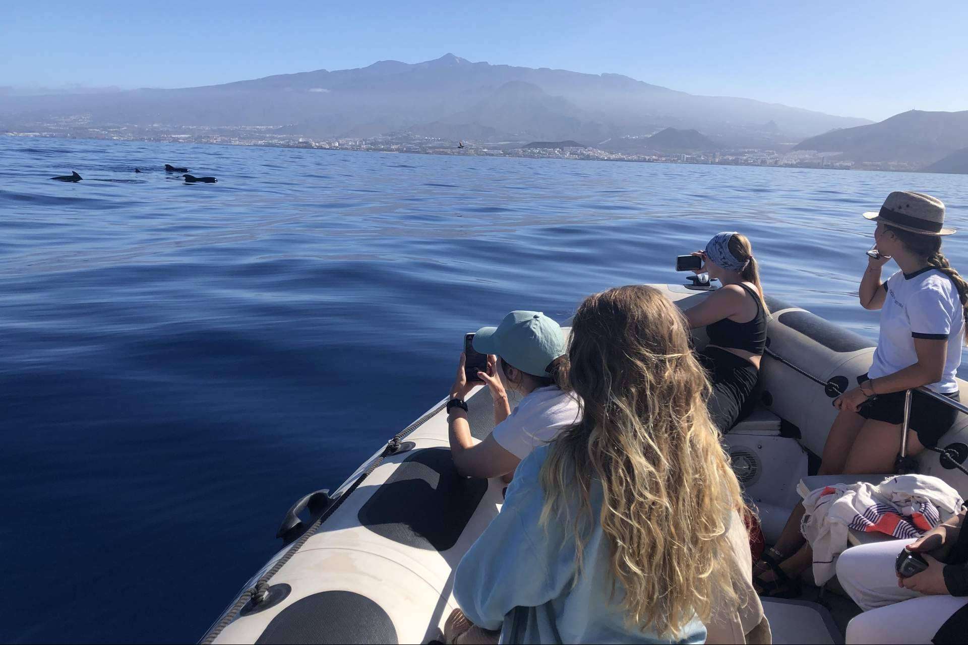 Biosean se encarga de generar información clave para la investigación de la ballena piloto en Tenerife