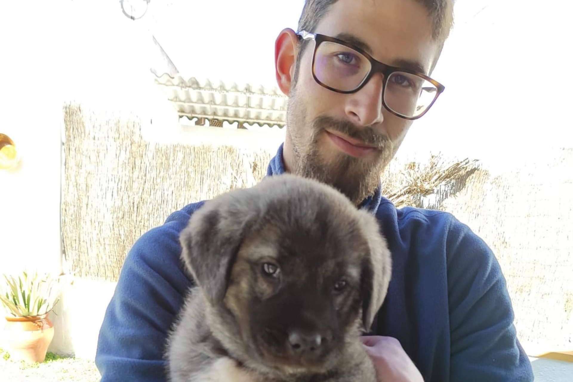 Libertad 365 Días, emprender en el mundo canino digital y transformar el amor por los perros en una fuente de alegría y ganancias