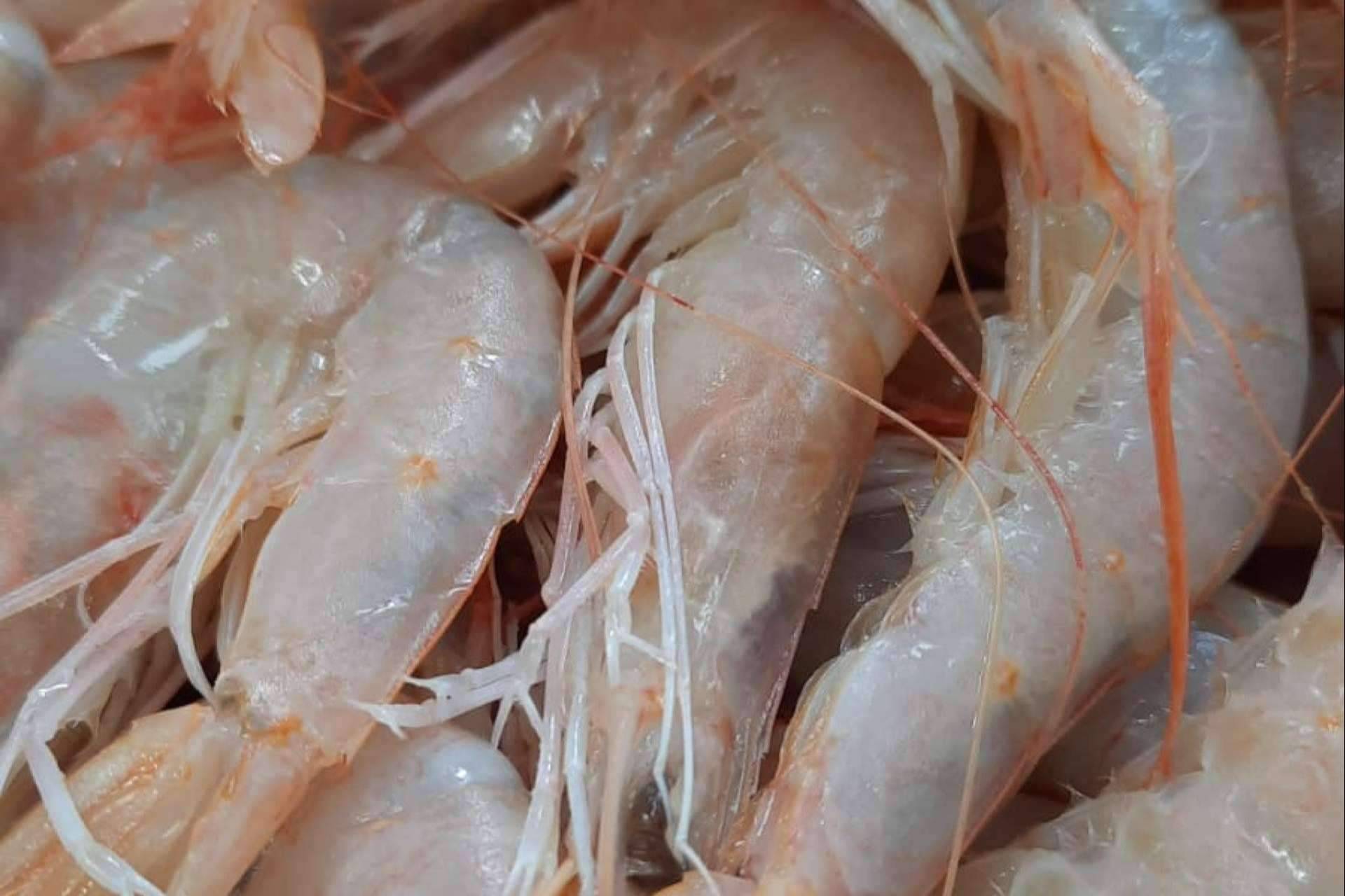 La Pescadería Younes Ceuta permite adquirir gambas de Huelva