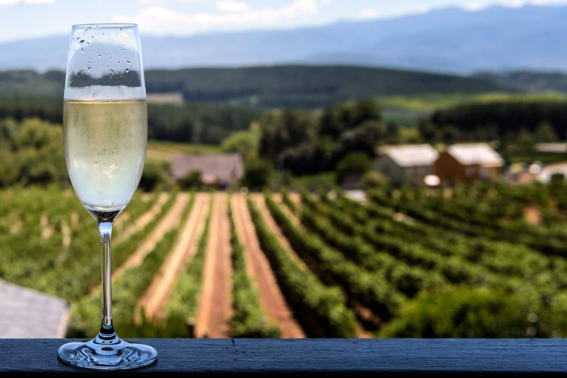 Naturelovers Wines y sus cavas y vinos ecológicos