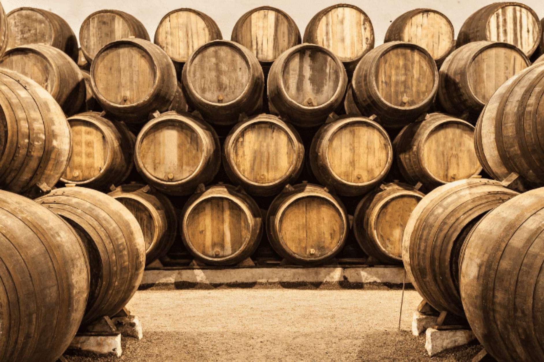 Las bodegas, el lugar en el que el vino nace