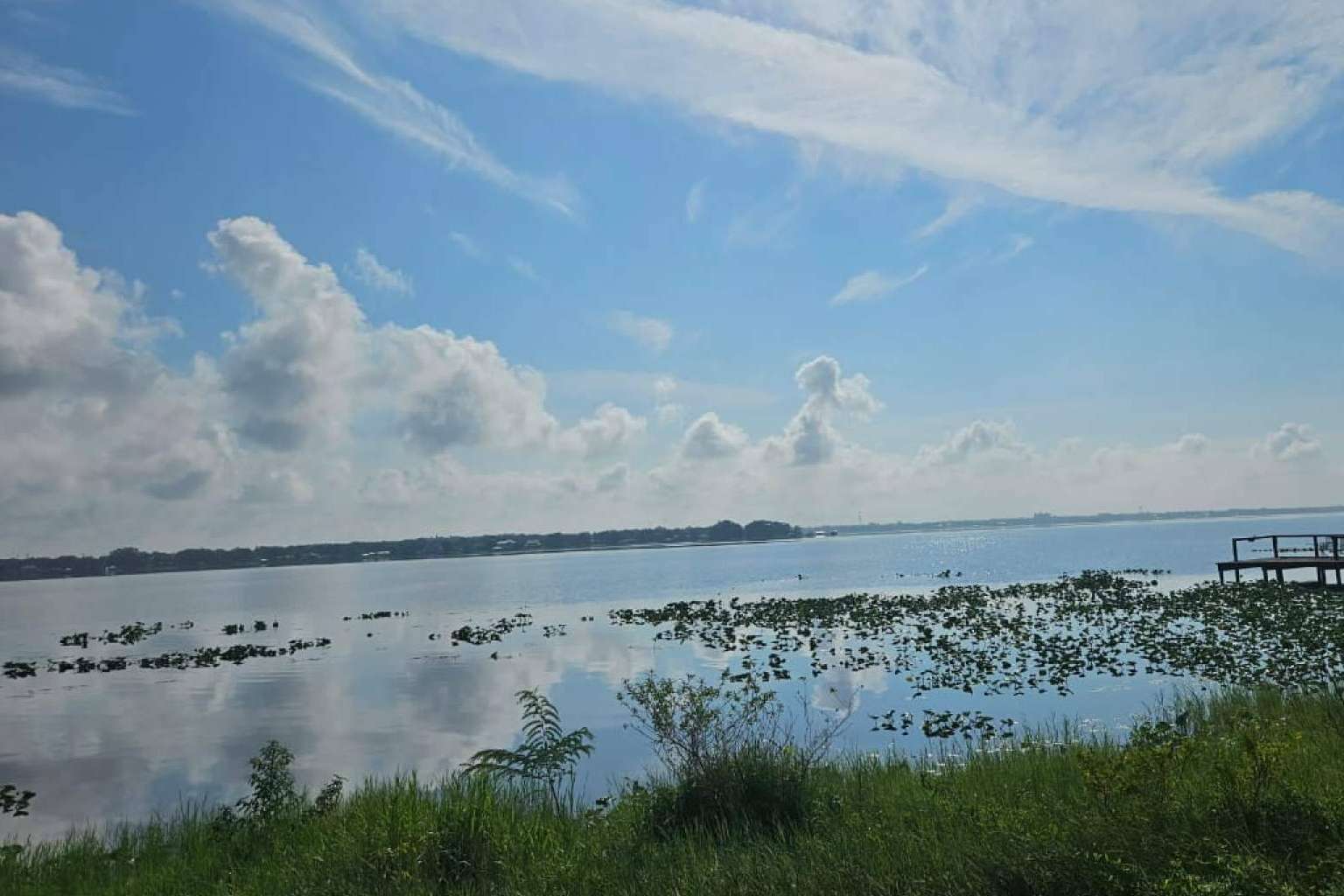 Consejos a considerar antes de invertir en terreno en Florida, por Vista Imark