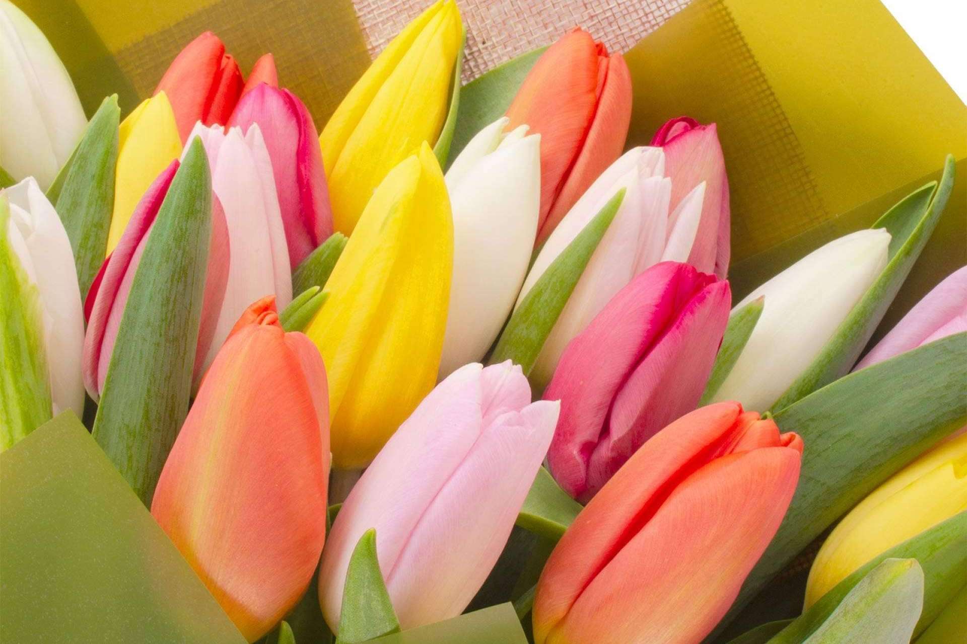 Rosalinda, una de las mejores opciones para enviar flores a domicilio en Las Condes