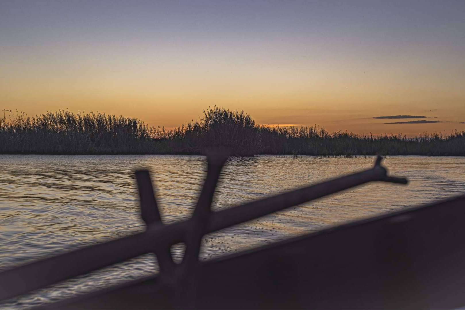 ¿Cómo son los paseos en barca por la Albufera desde El Palmar que ofrece Albumar?