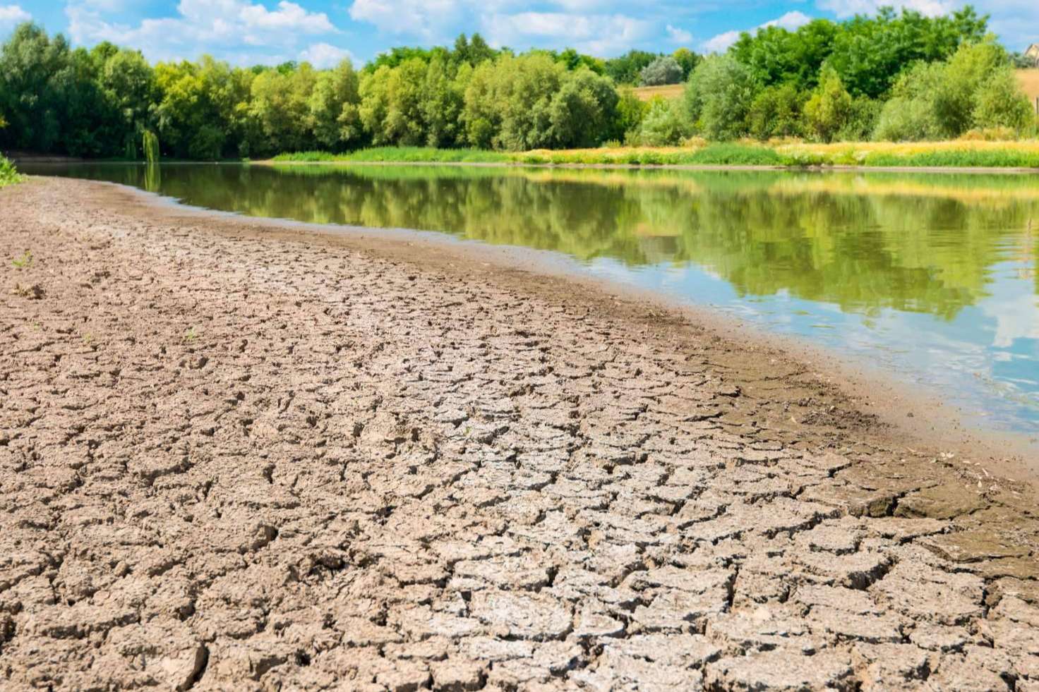 Pluvial brinda soluciones sostenibles en el ámbito de la gestión del agua