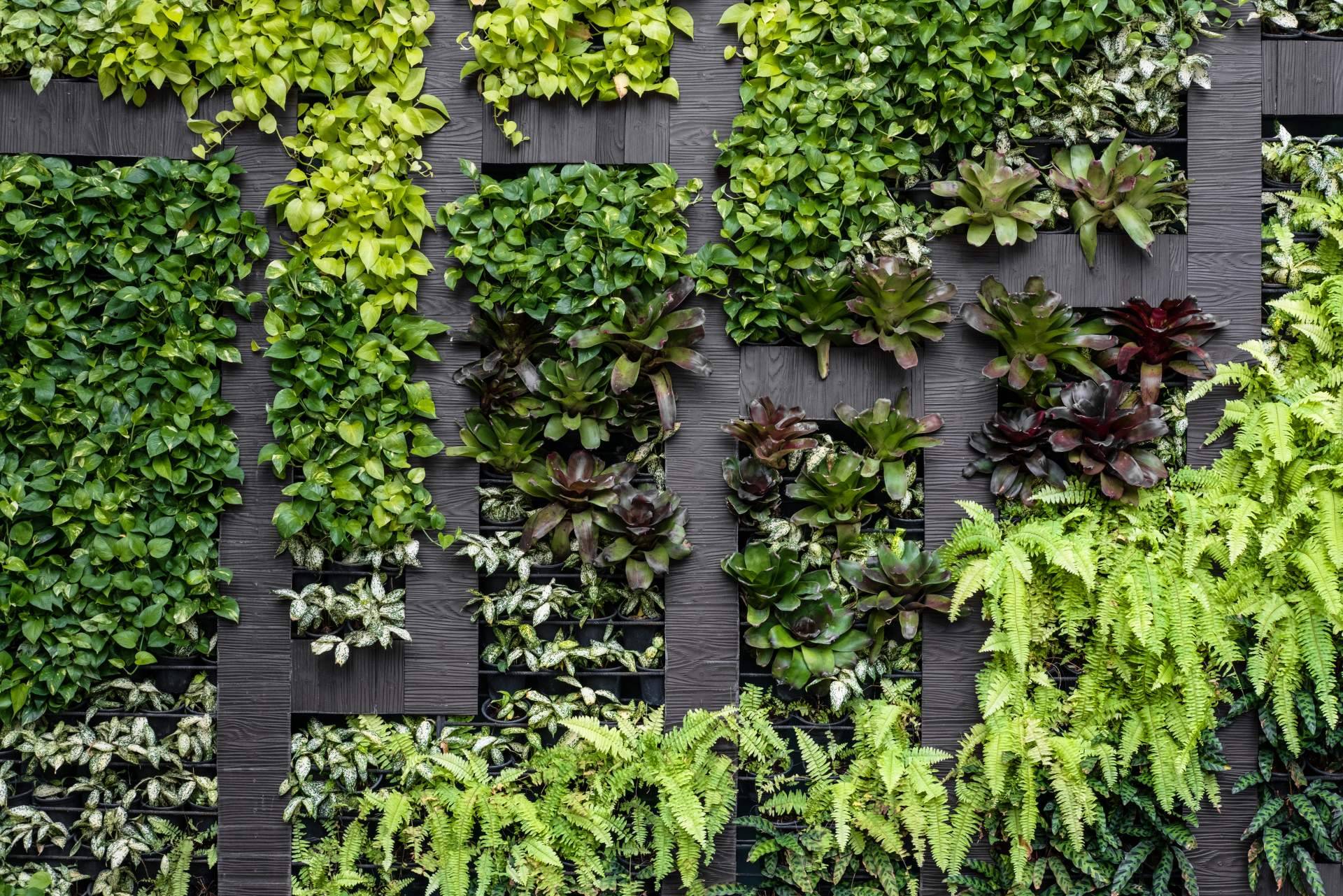 Black Friday, el momento ideal para transformar espacios con JardinVertical.es