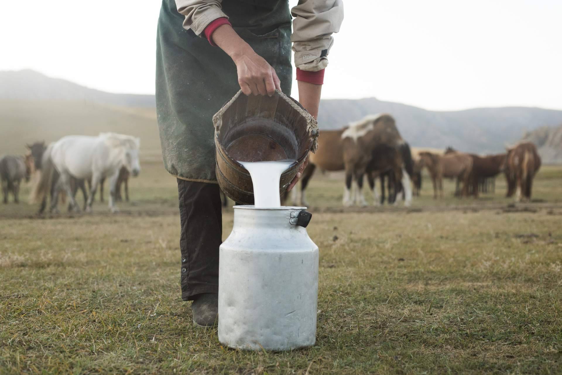 Innovación de fórmulas que maximizan los beneficios de la leche de yegua, con eQuaid