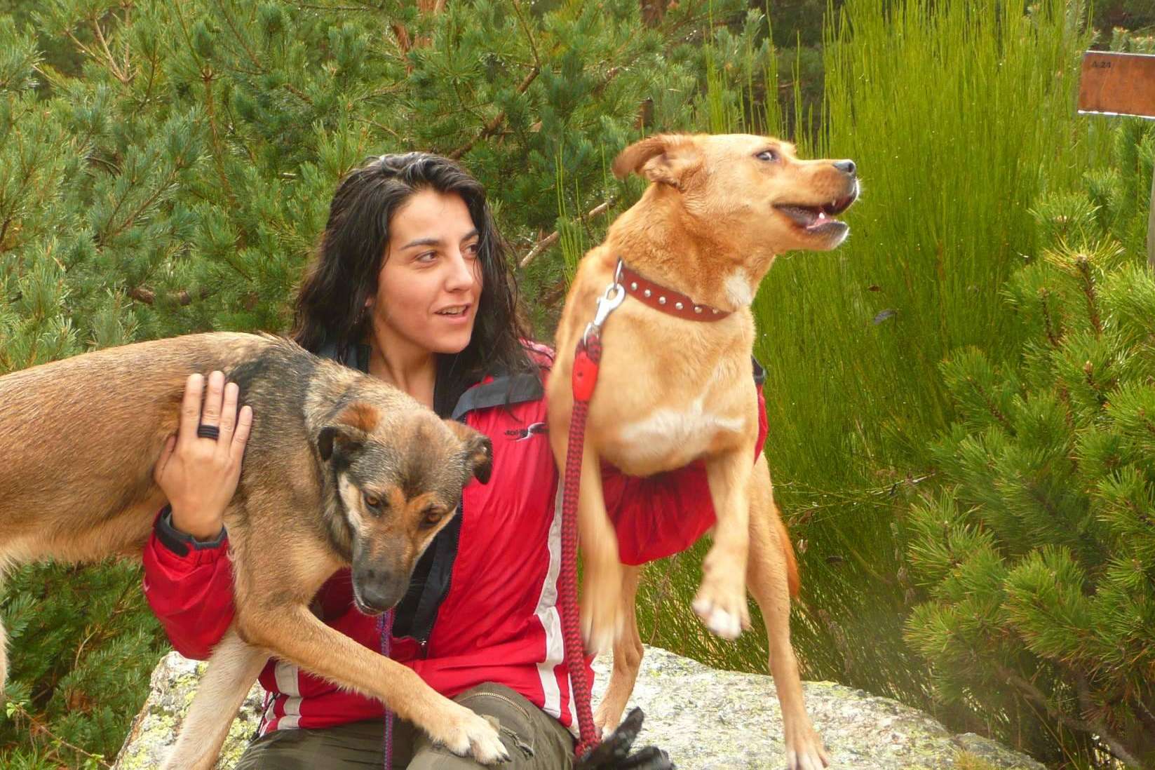 Entrevista a la editora de poesía Alicia Arés