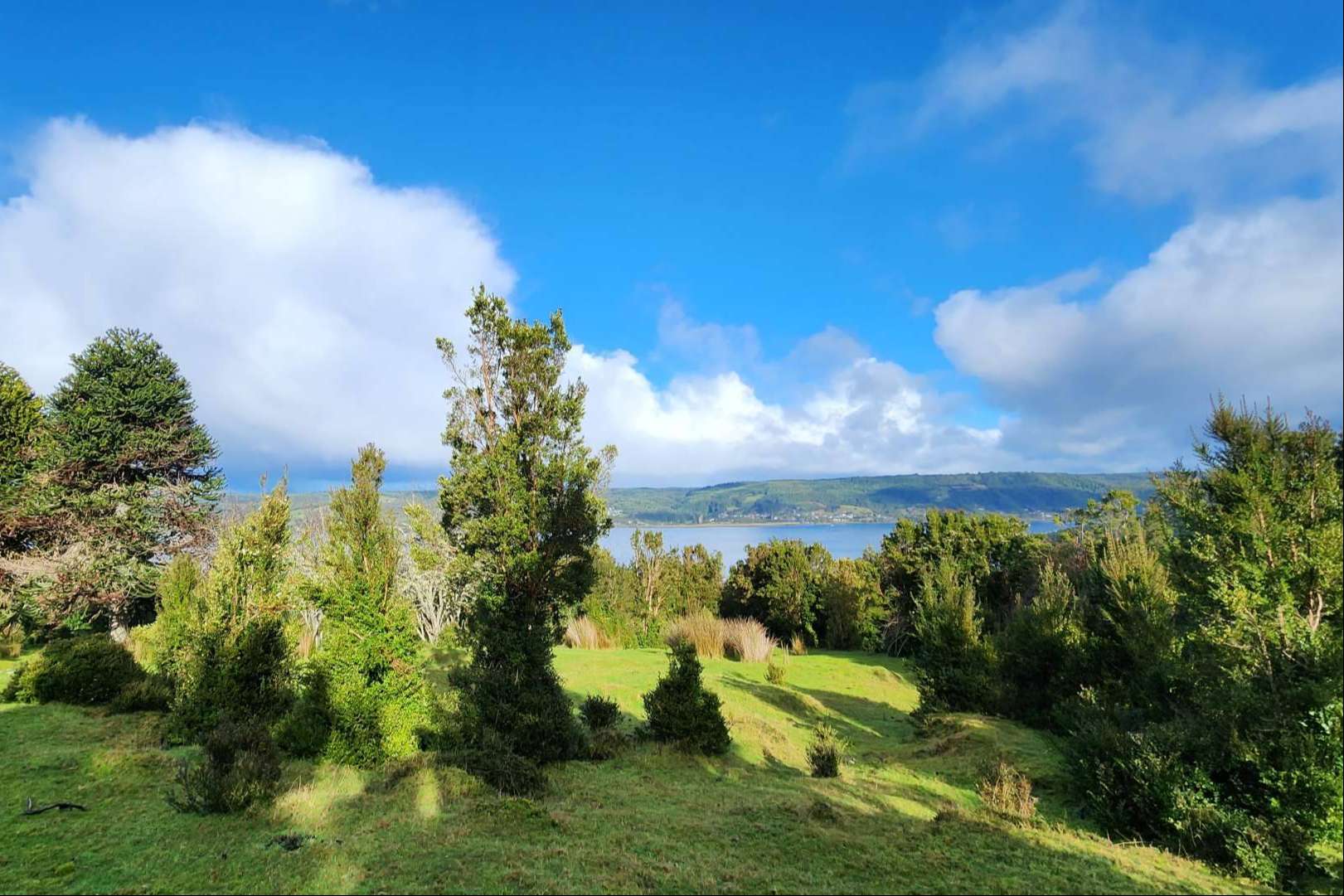 Latitudes Australes presenta Chiloé, un destino emergente que ofrece oportunidades únicas de inversión