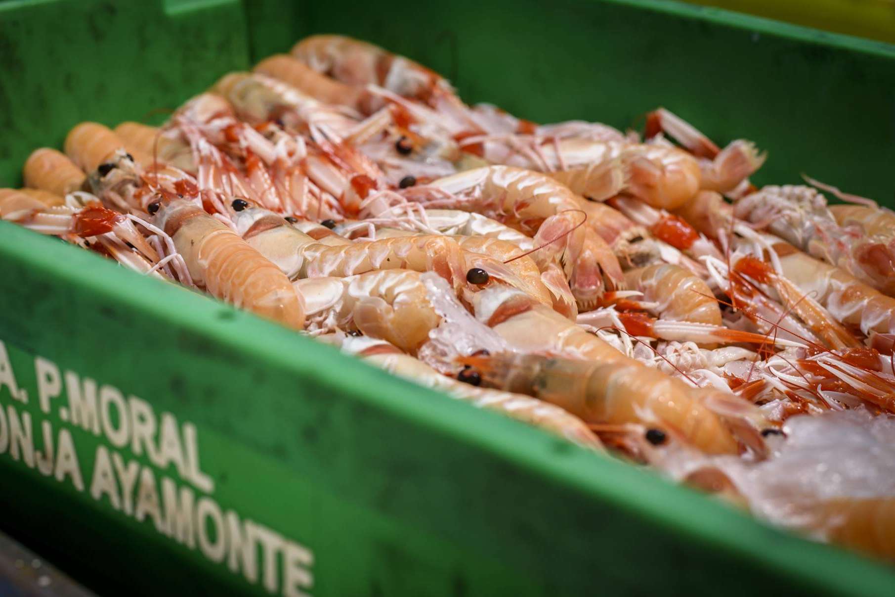 Comprar marisco para Navidad, con Lonja de Ayamonte