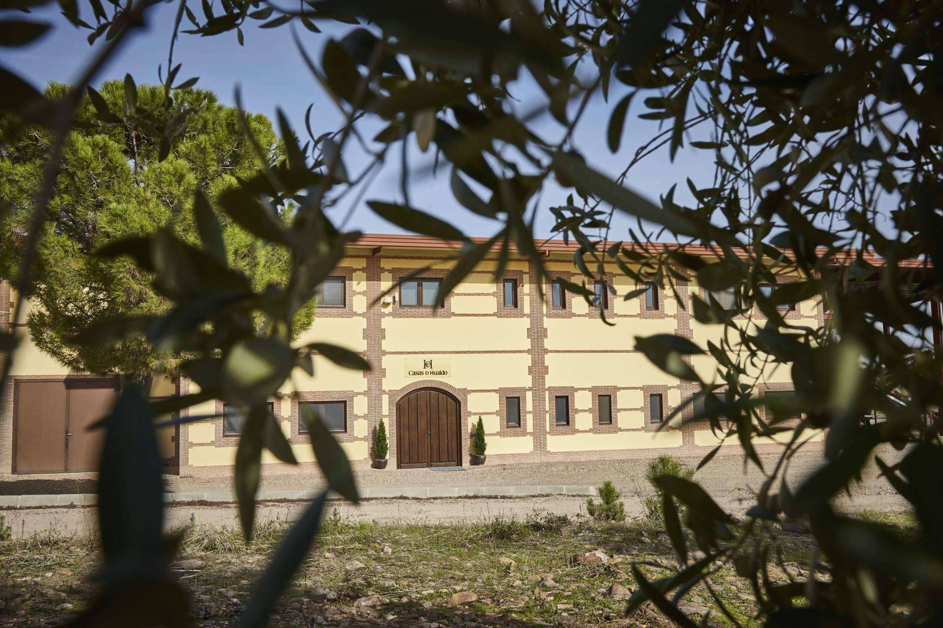El AOVE de Casas de Hualdo está reconocido en todo el mundo