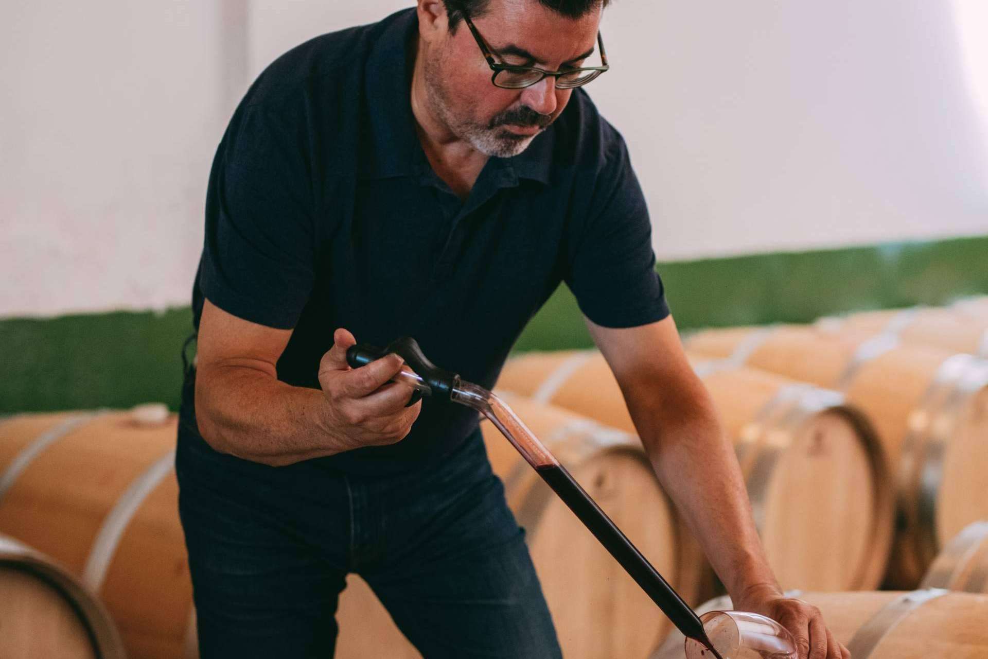 La personalidad única de los vinos de Bodegas Vegalfaro con el cultivo ecológico